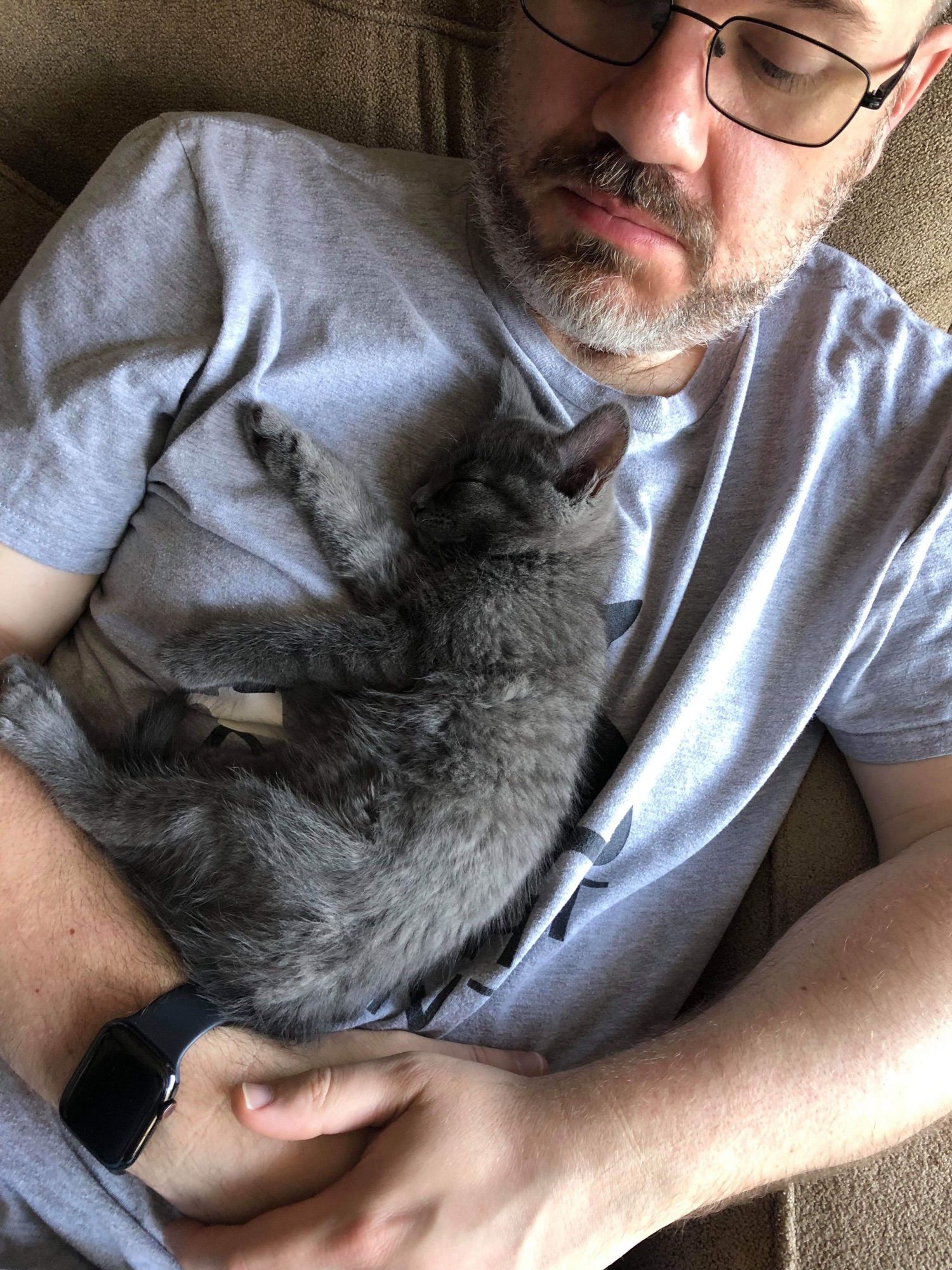 An asleep grey tabby cat lay on the chest of a bearded white man in a gray shirt.