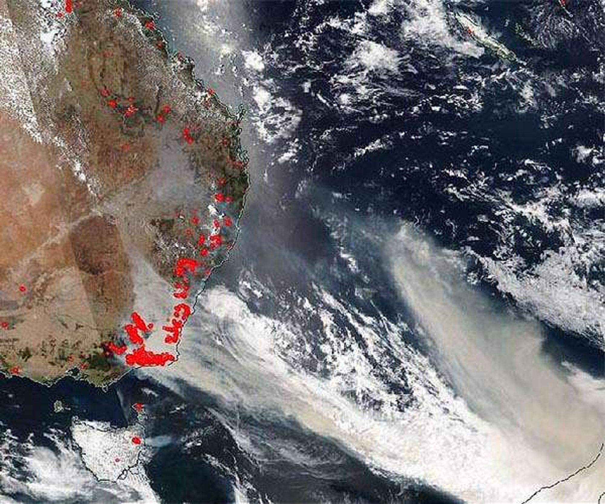 Australia's Role in Global Forest Carbon Decline Uncovered