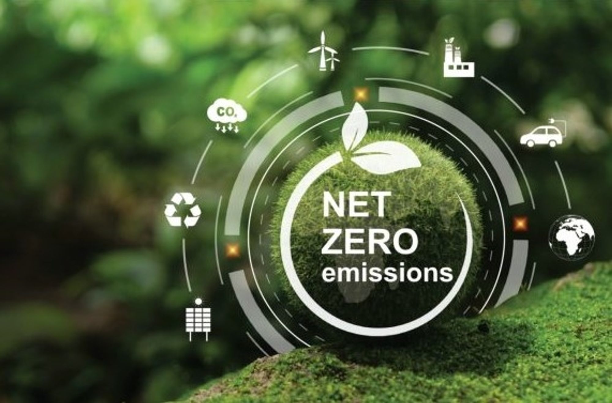 HCLTech Achieves 25% Reduction In emissions In FY24 On Pathway To Net-Zero By 2040