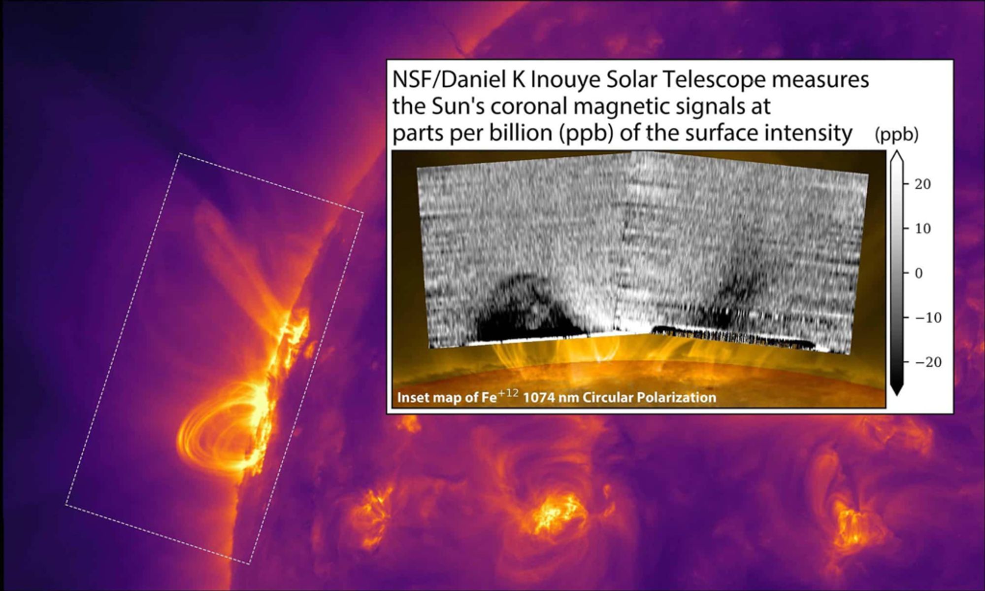 Detailed maps of the Sun's coronal magnetic fields