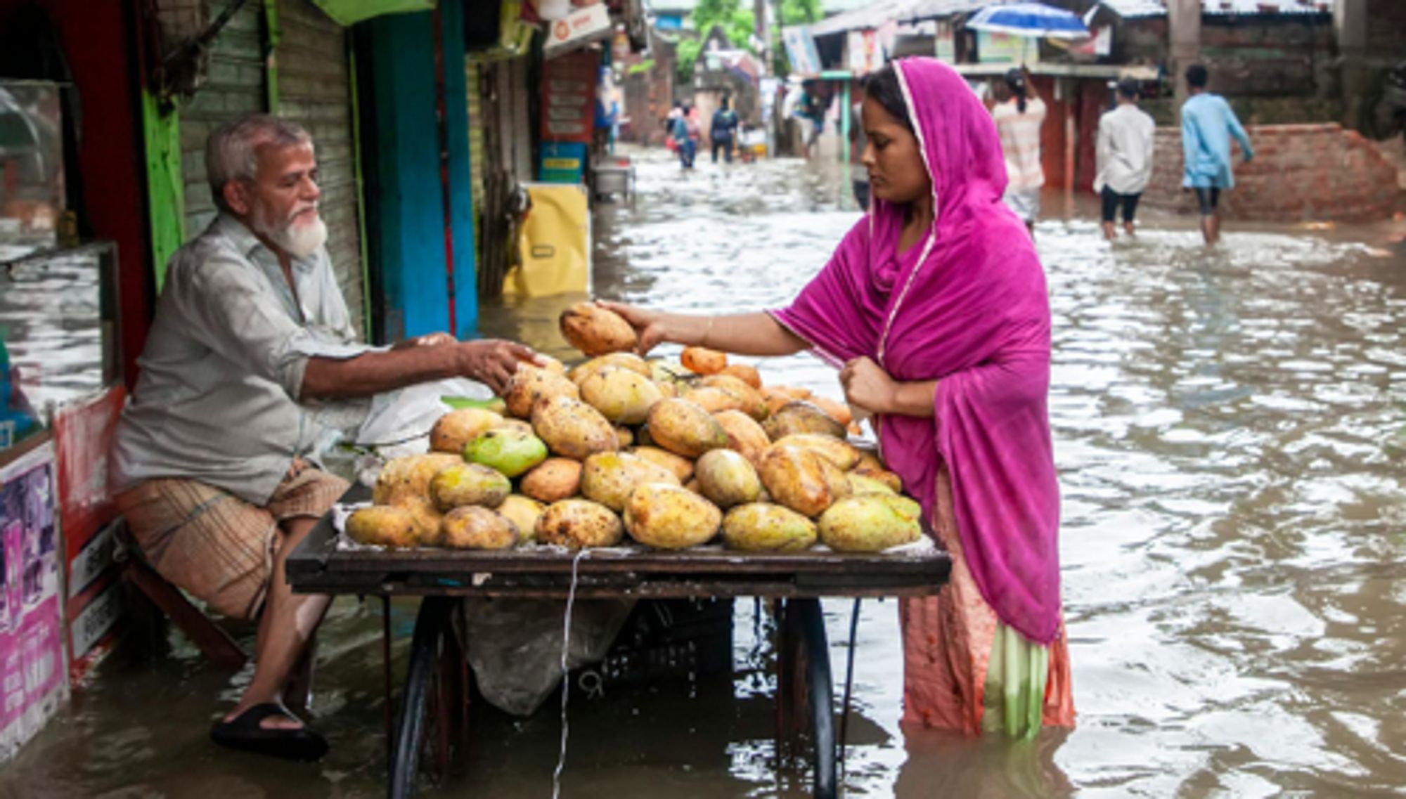 Climate finance missing to deliver on global stocktake