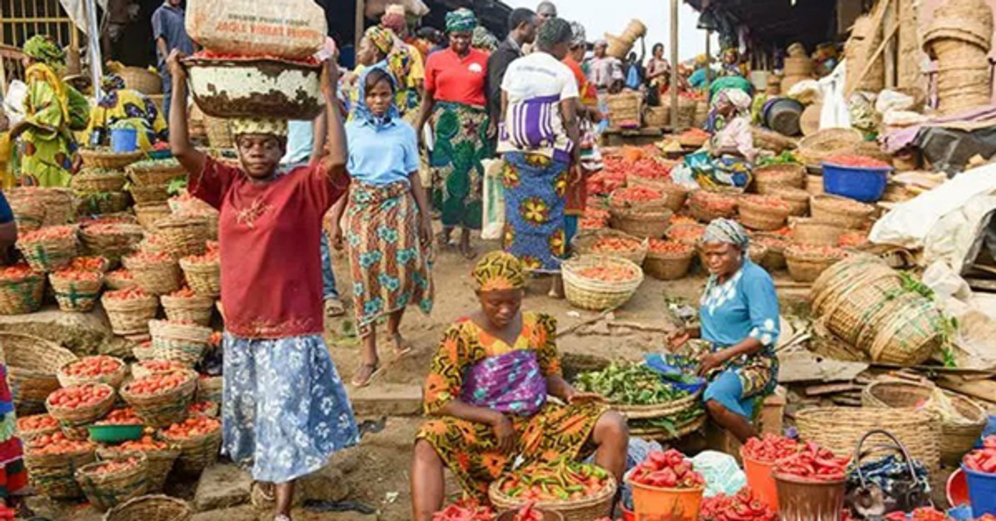 Nigeria loses 50% of agricultural produce post-harvest - FAO