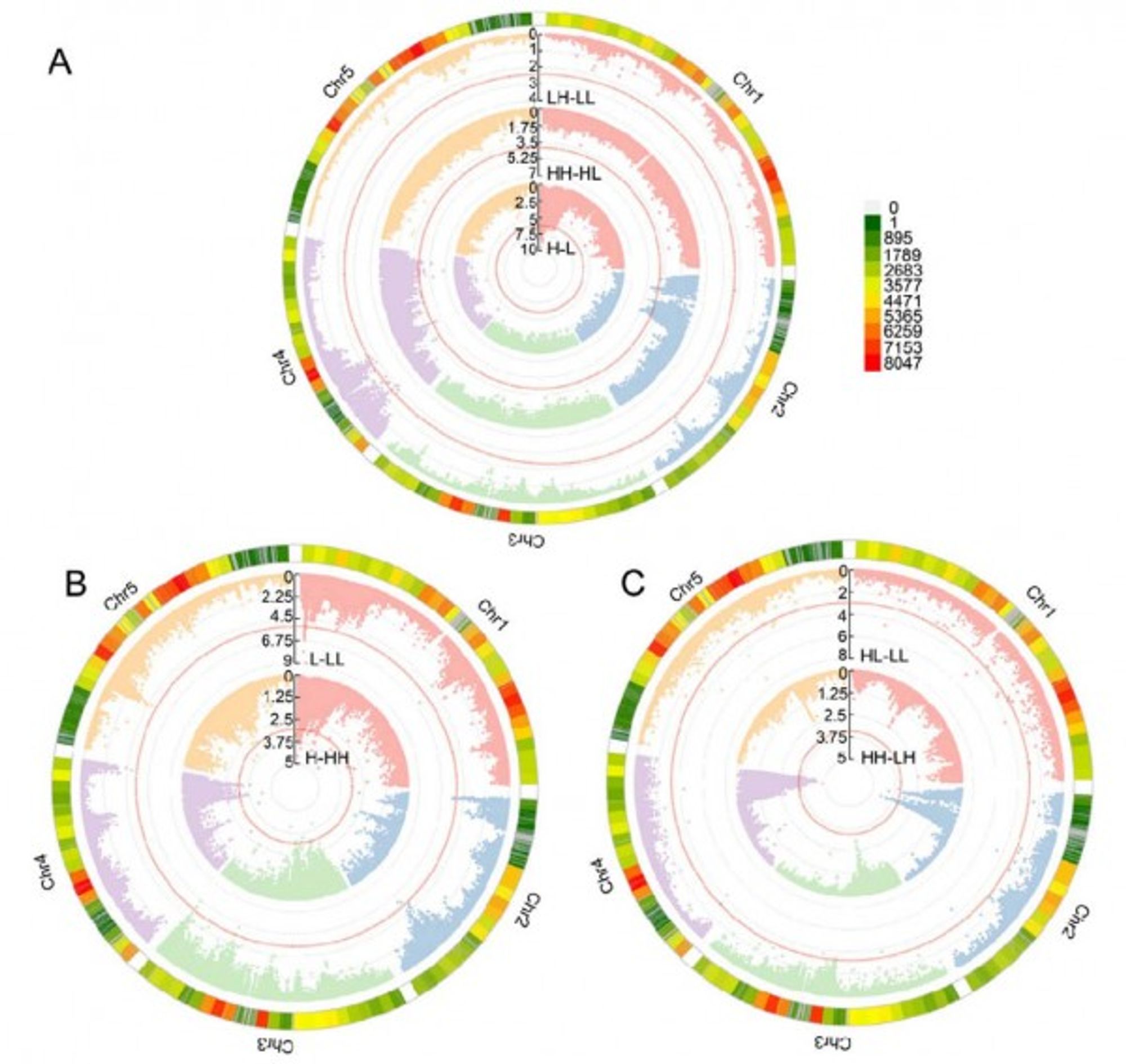 The Memory in Seeds: How Plants Carry Environmental Clues Across Generations