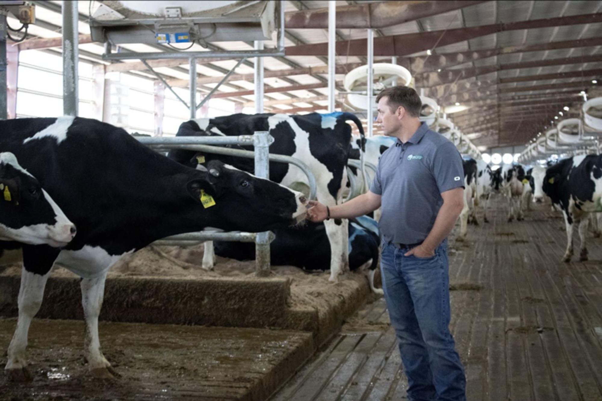 For MVP Dairy, Regenerative Farming is About Progress Over Perfection