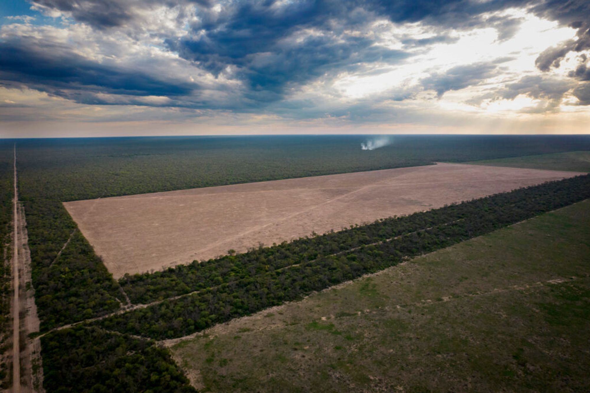 Fighting for the Native Forest of the Gran Chaco in Argentina