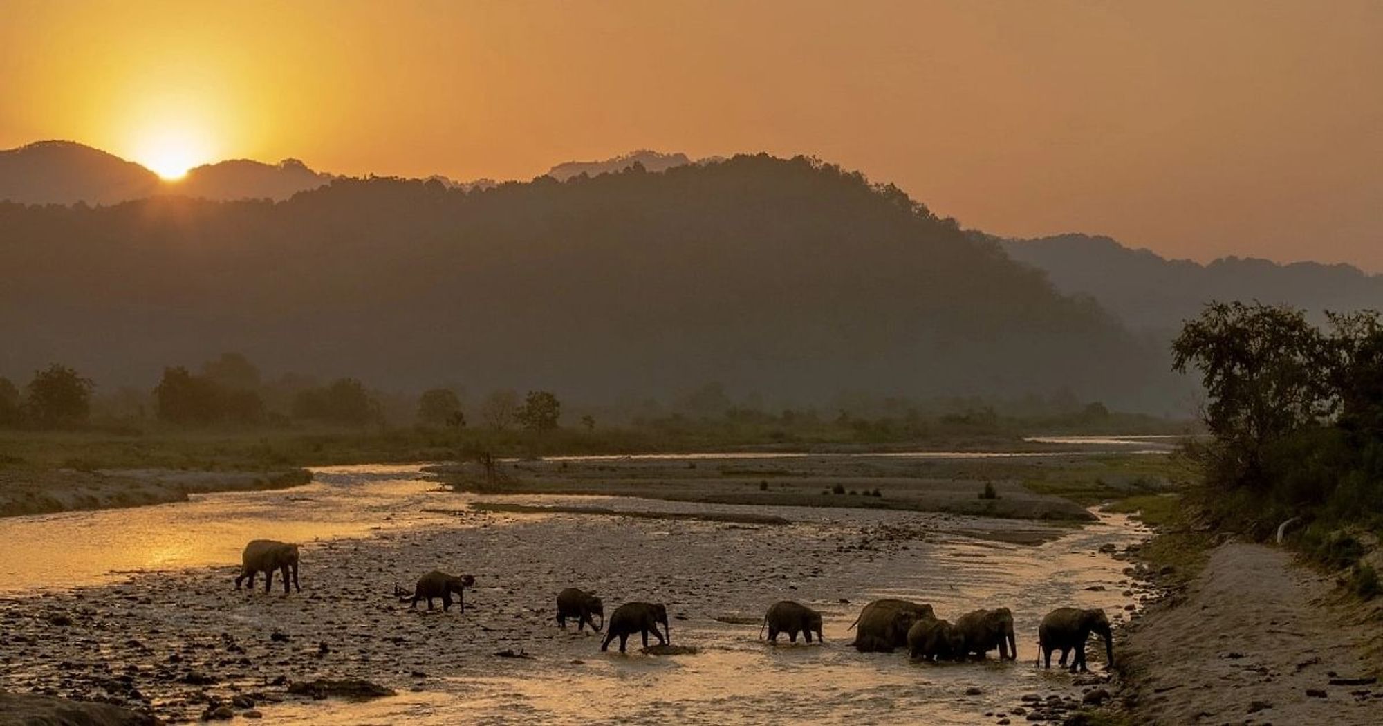 Seven forest officials awarded in Bengaluru for environmental, wildlife conservation