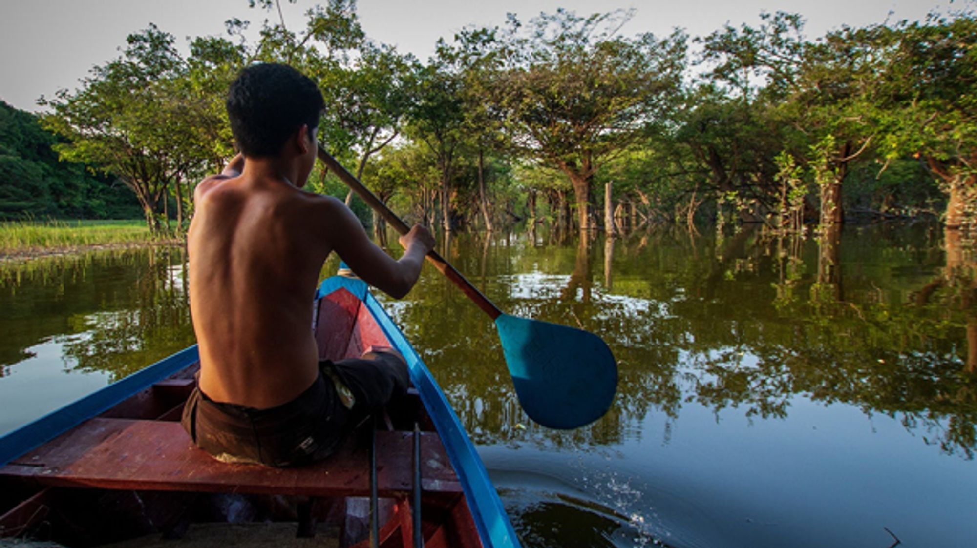 GBFF In Focus: Brazil - Biodiversity conservation in Indigenous lands - GEF