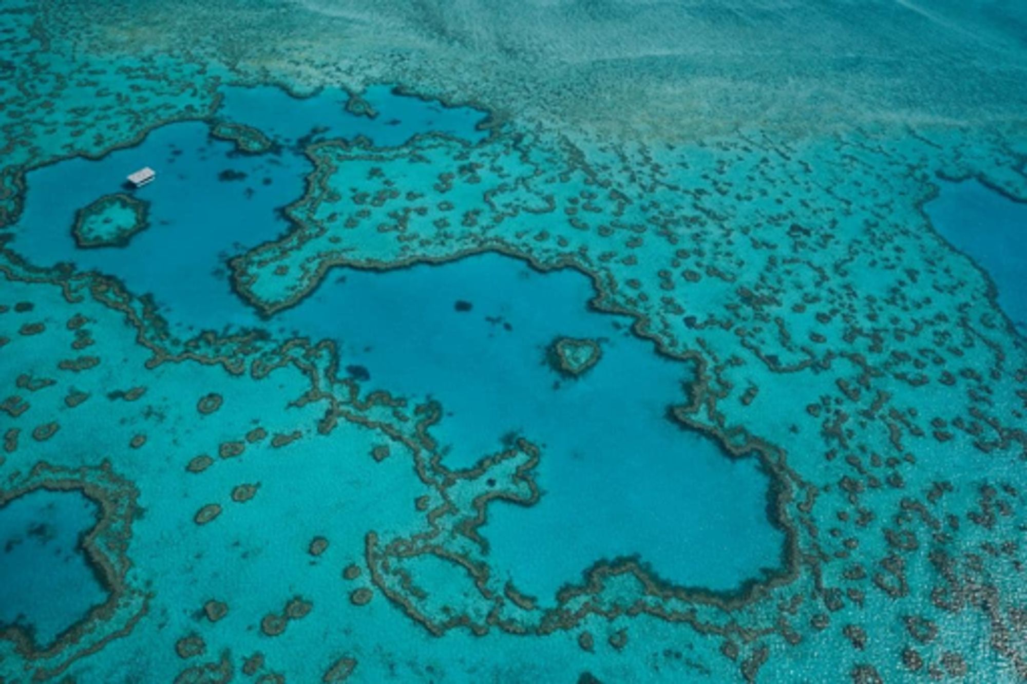 Highest Ocean Warming in 400 Years Poses 'Existential Threat' to Australia's Great Barrier Reef, Researchers Say