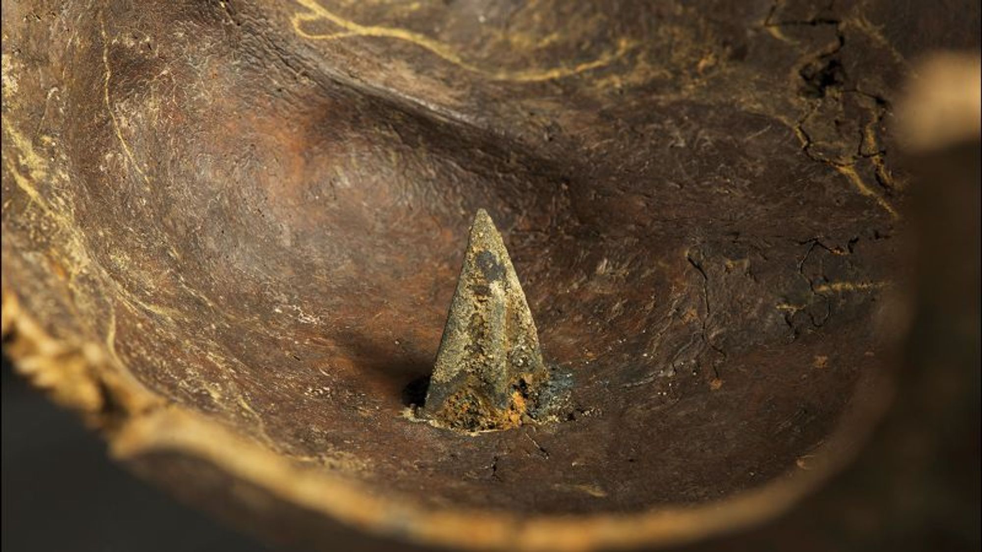 Arrowheads reveal the presence of a mysterious army in Europe's oldest battle