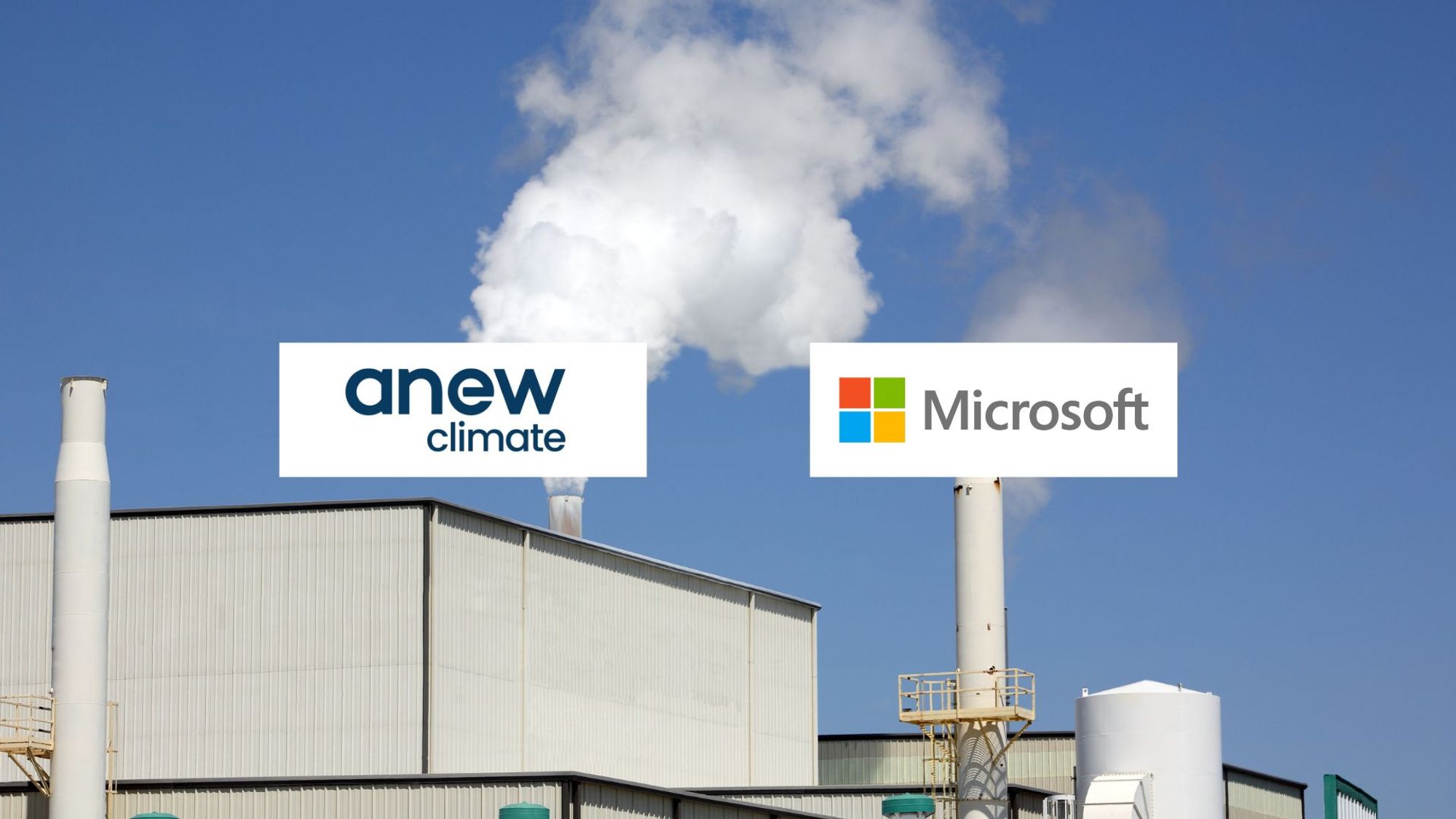 Microsoft Purchases 970,000 Forest Carbon Removal Credits from Anew Climate