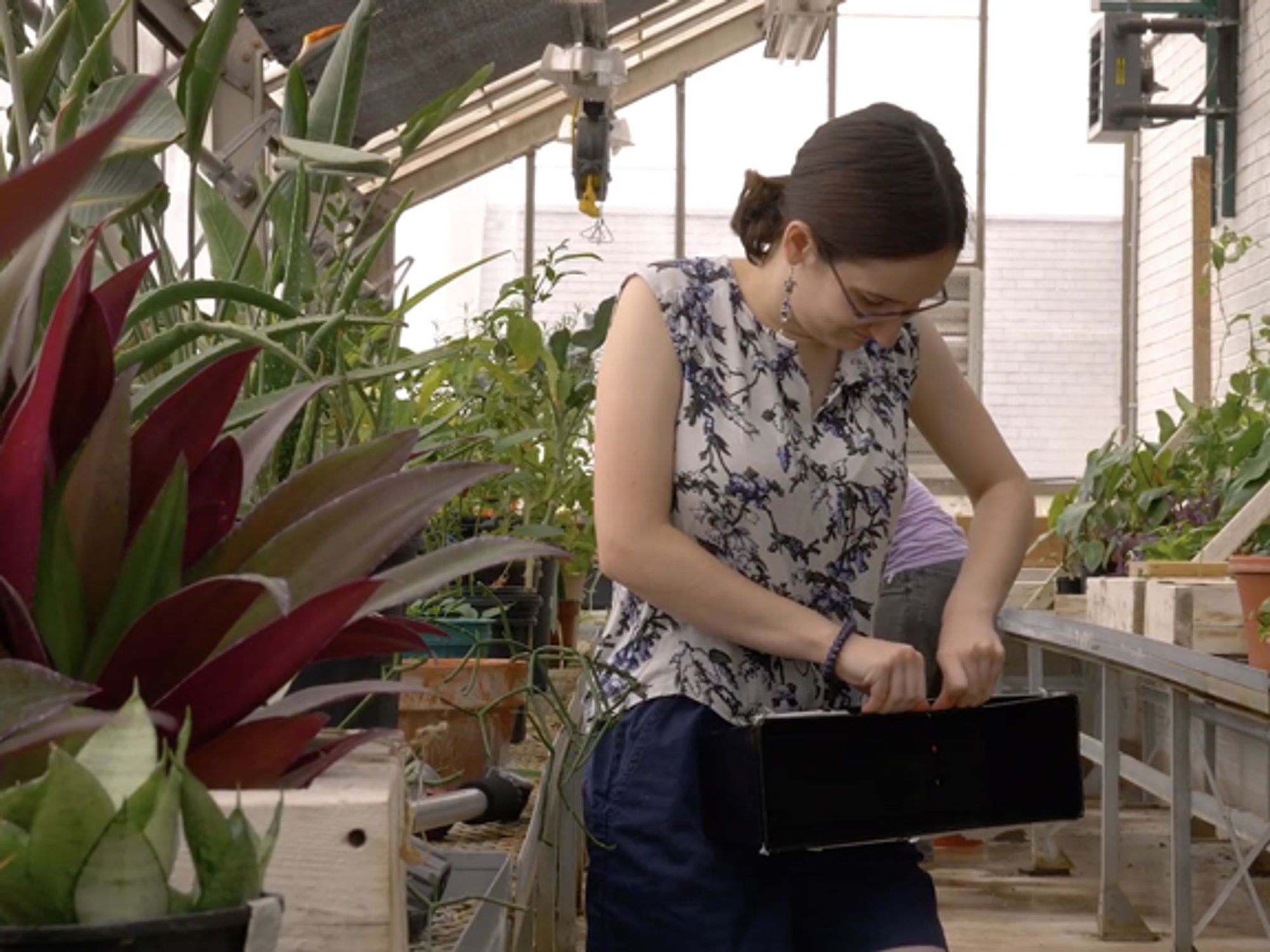 Environmental Science Major Designs a Living Green Wall on Campus