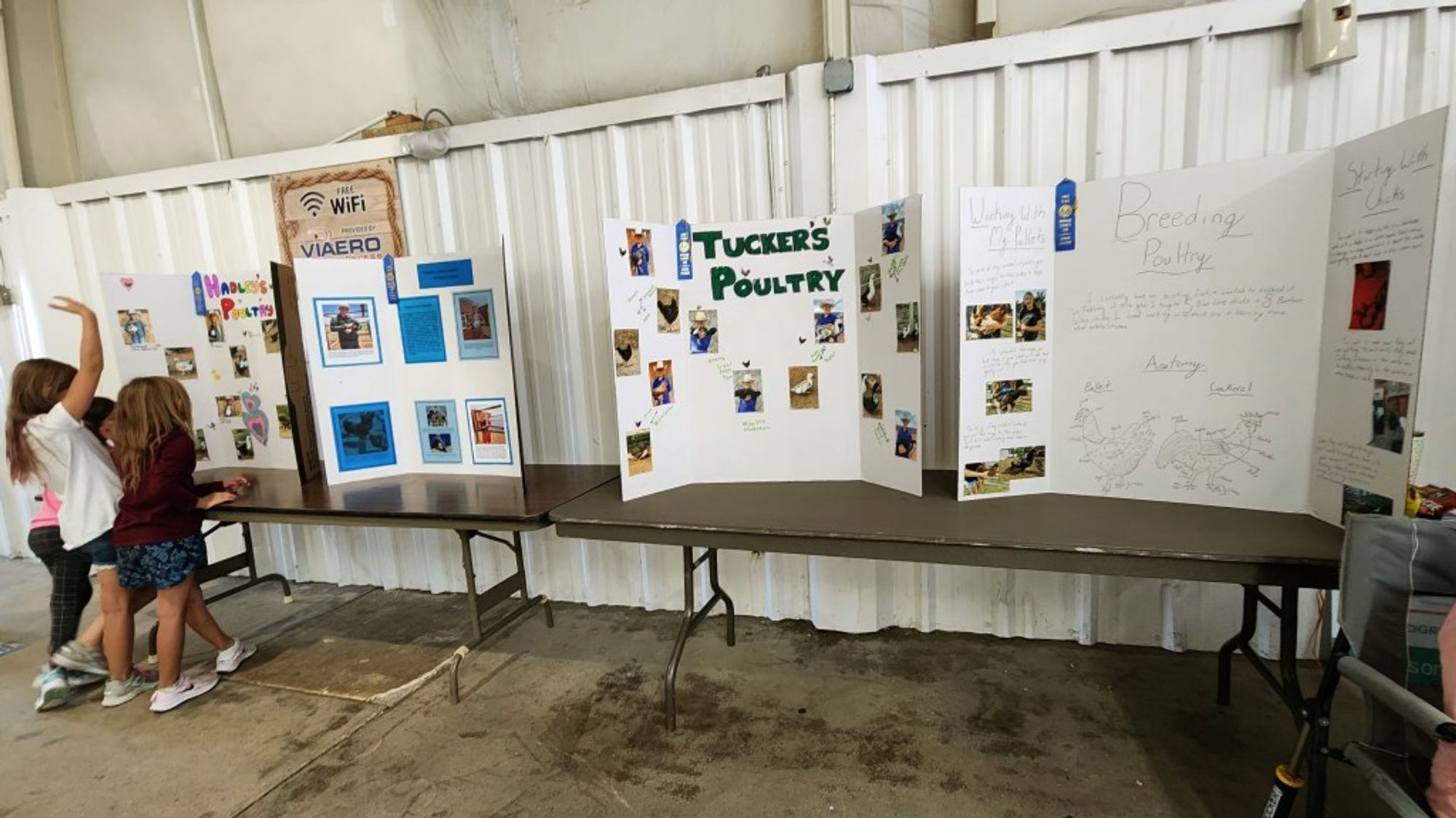 How avian influenza (bird flu) affected the Morgan County Fair