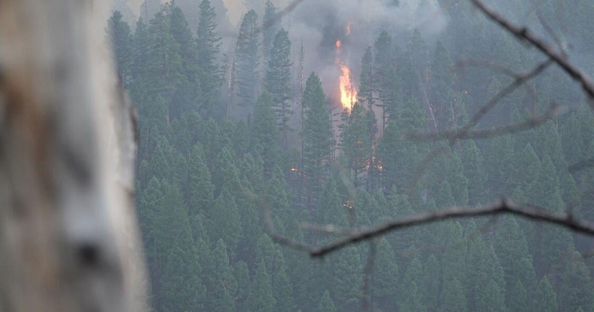 Helena-Lewis and Clark National Forest to get $3.3M to reduce fire hazards