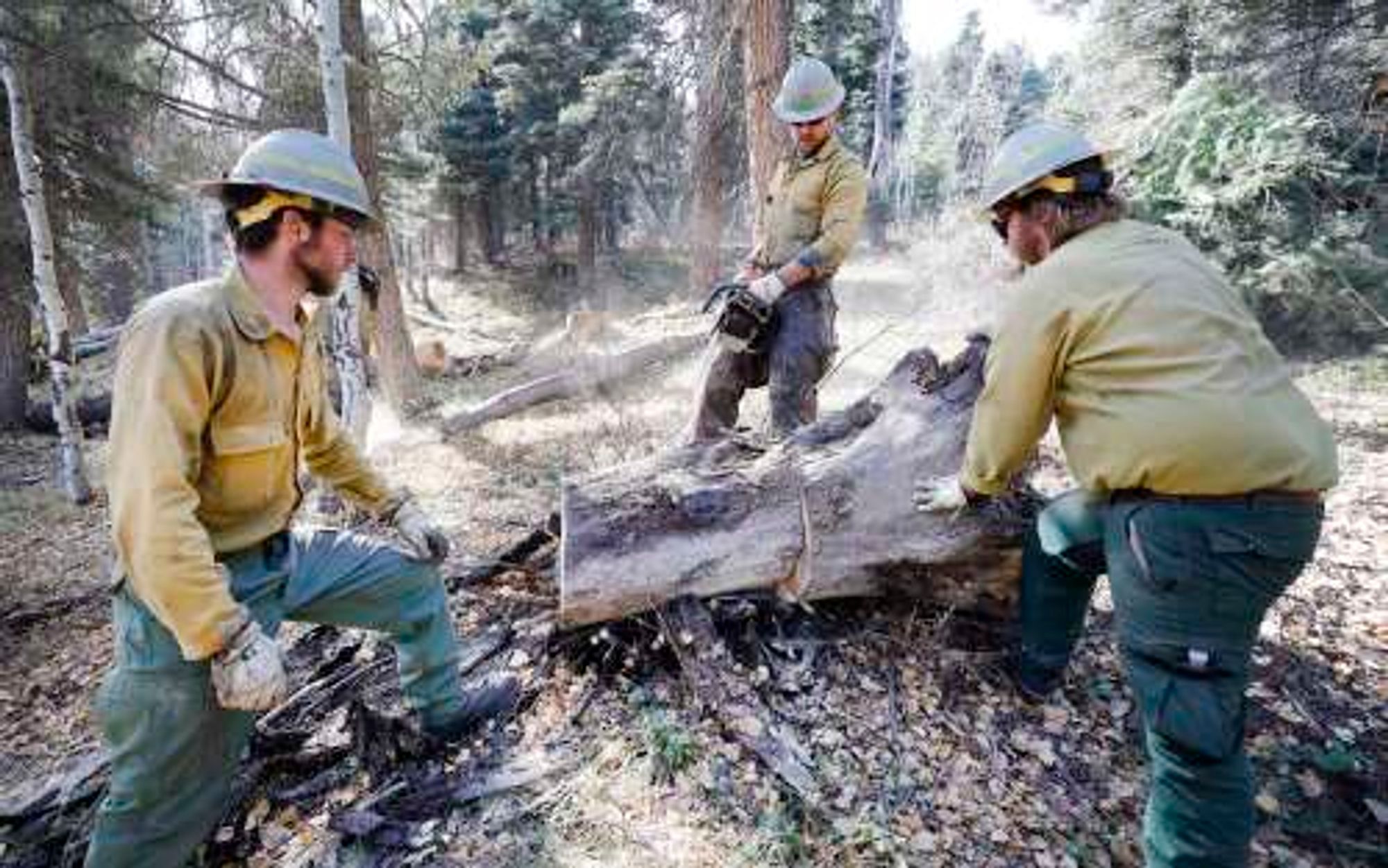 U.S. Forest Service funding will improve preparation for wildfires in San Juan National Forest