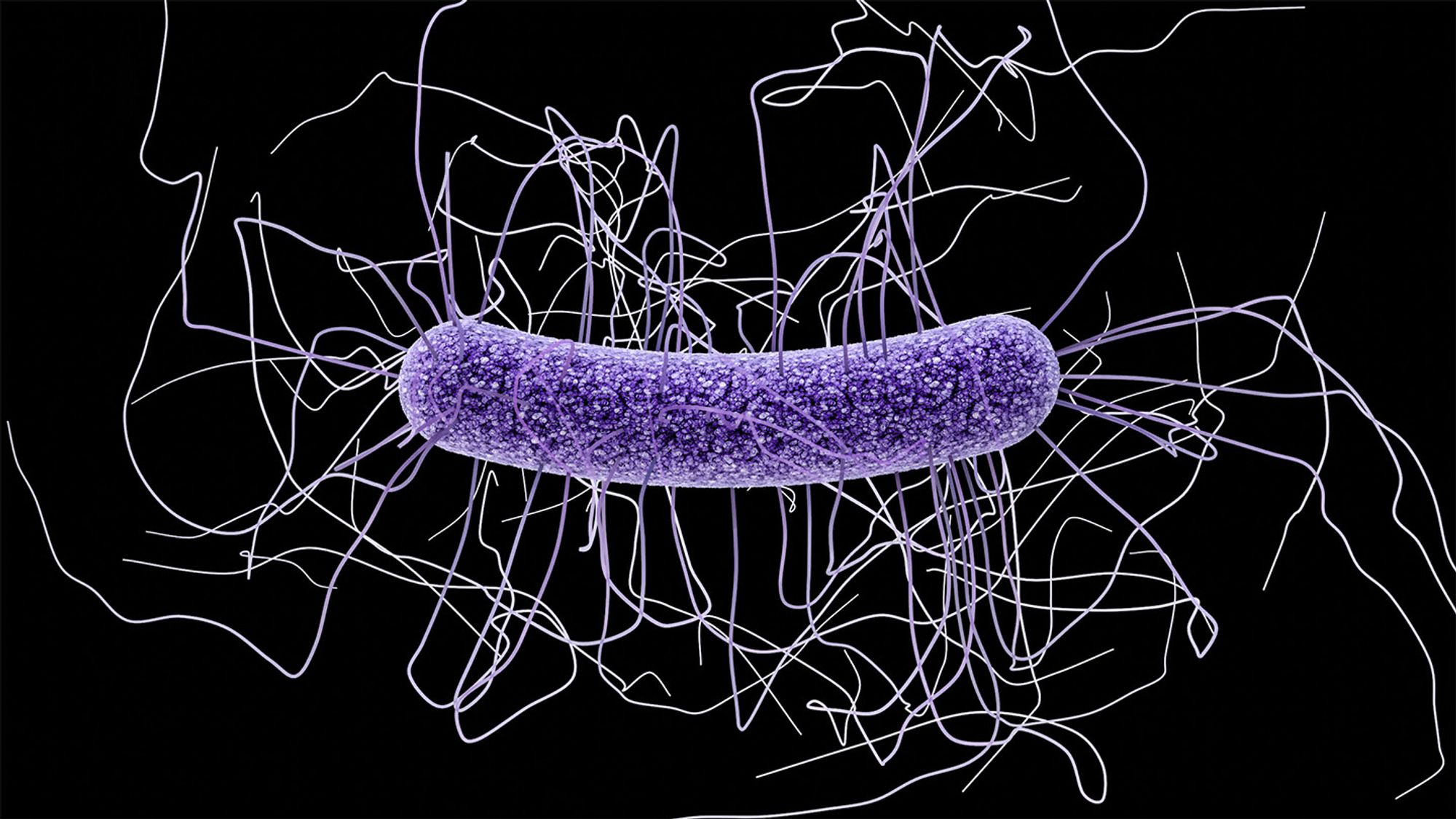 An mRNA vaccine protected mice against deadly intestinal C. difficile bacteria