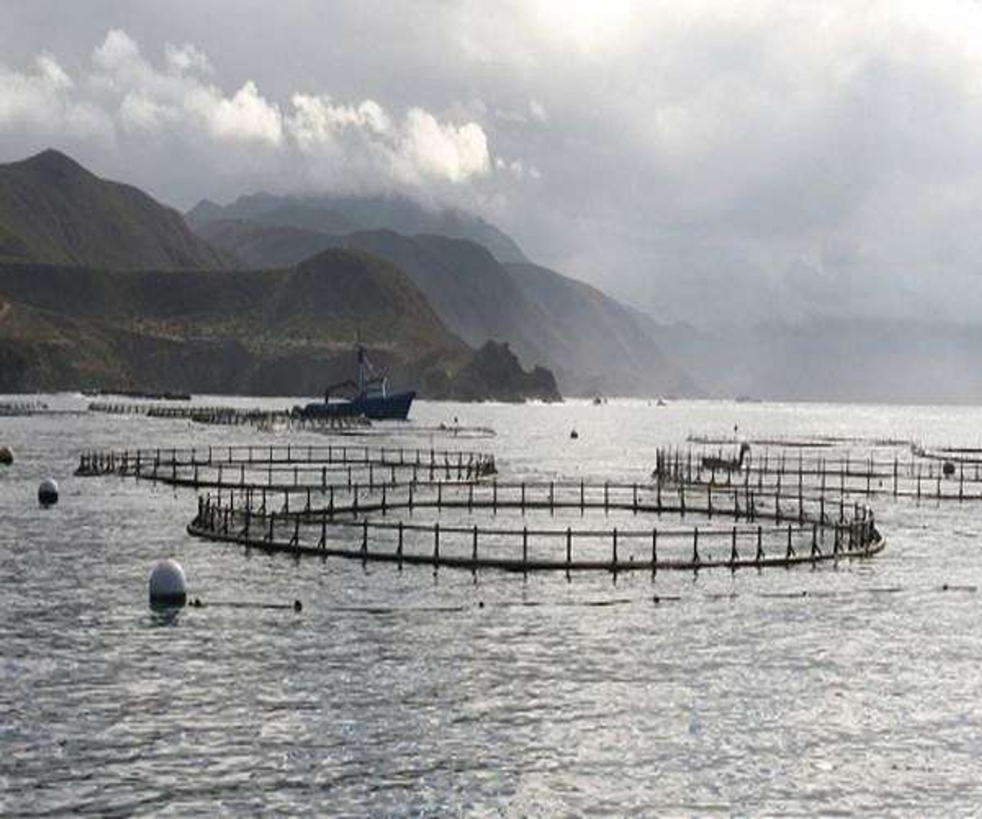 Senegal looks to aquaculture as fish stocks dwindle