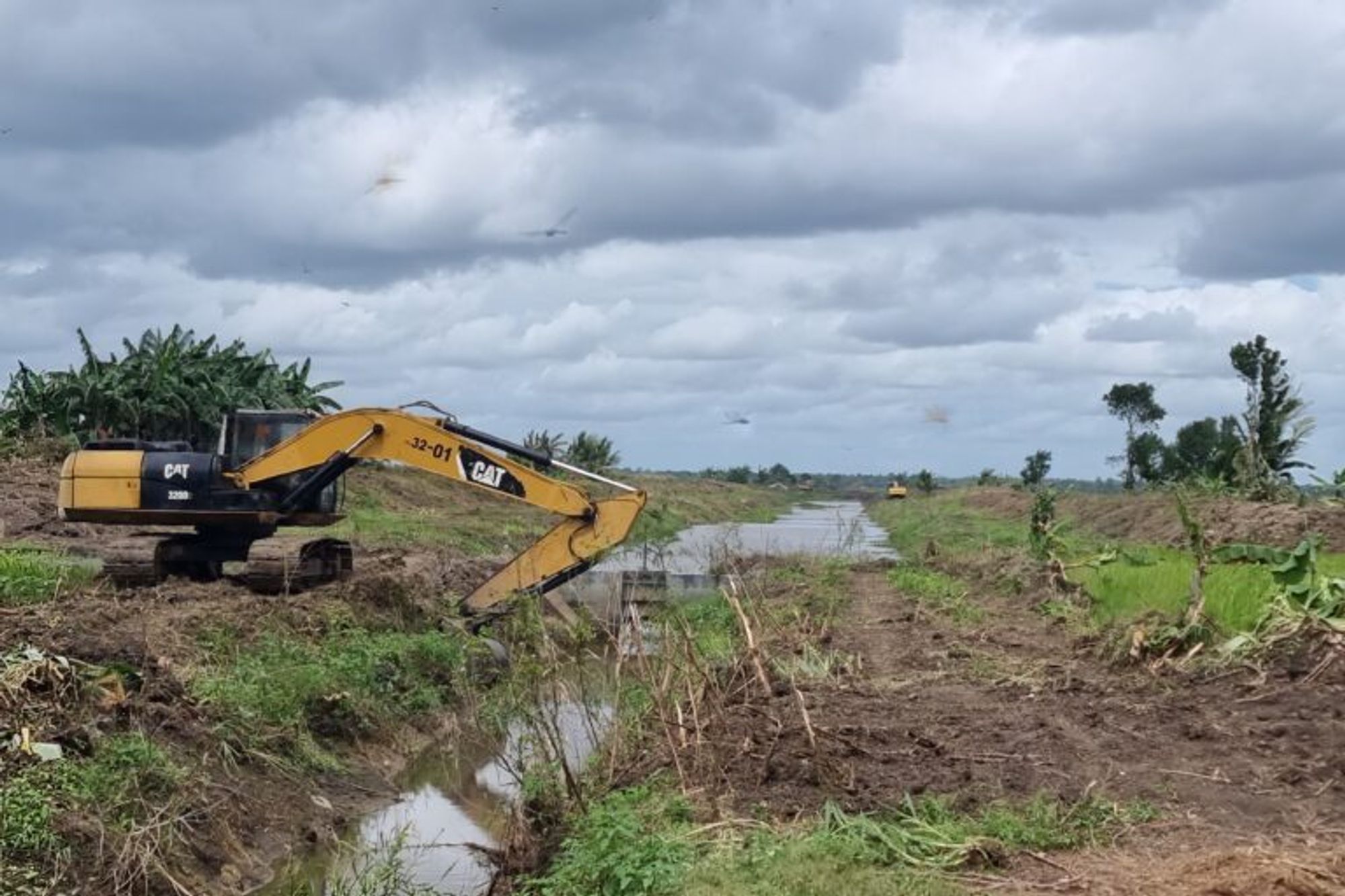 Past failures can't stop Indonesia from clearing forests, Indigenous lands for farms