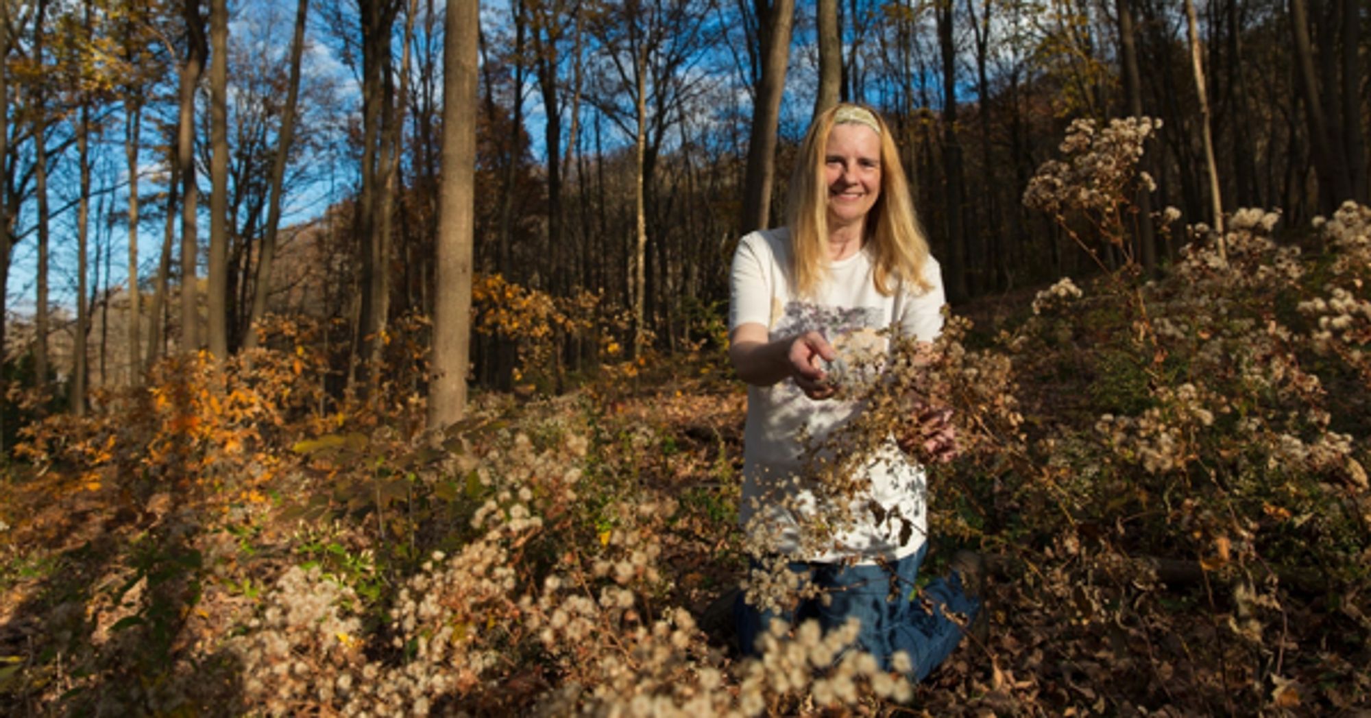 This Hudson Valley Group Puts a Homegrown Spin on Restoring Native Forests