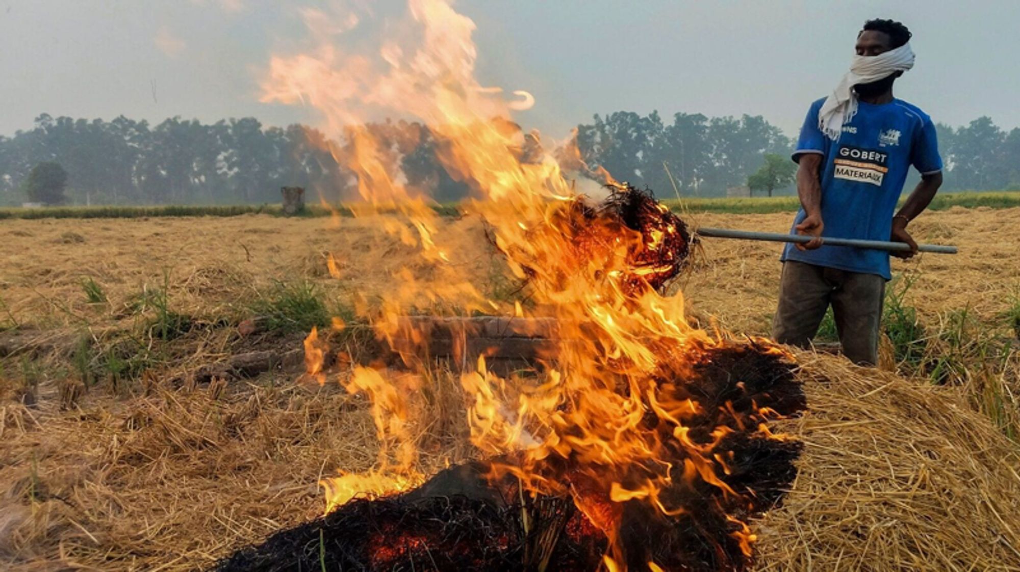 As stubble burning rises, AAP says it 'cannot enforce' Punjab govt's pollution control plan