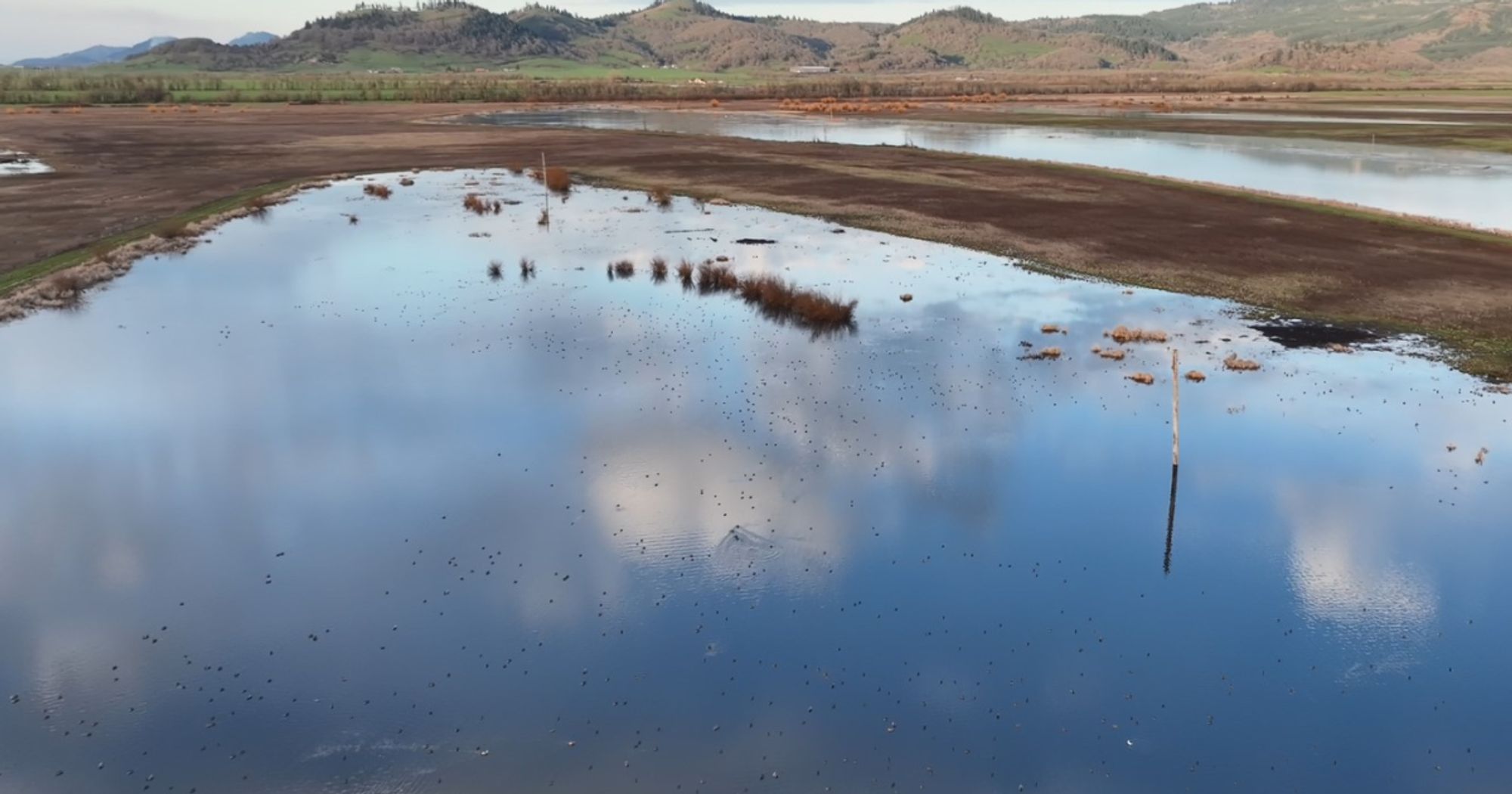 Federal wildlife officials create new conservation area in the Willamette Valley