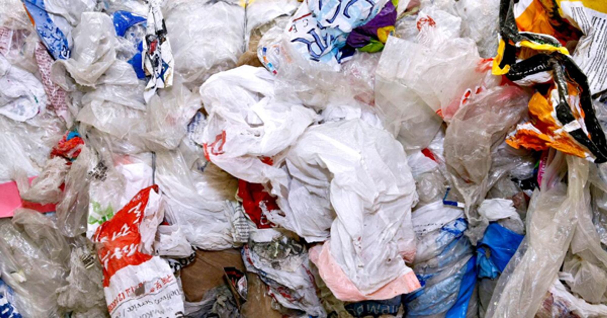 Governor signs California plastic bag bill into law