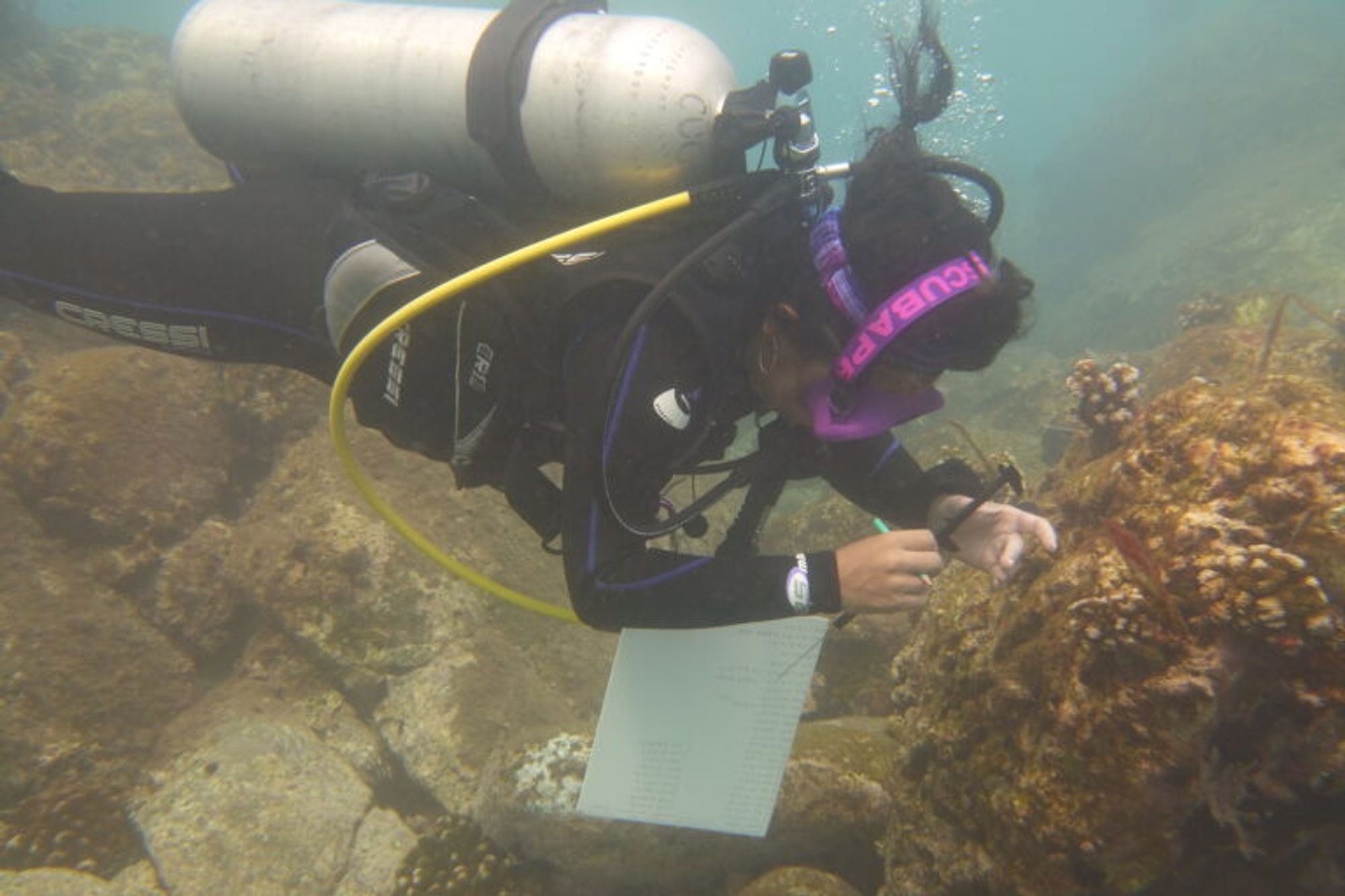 In Mexico, scientists race to save Marietas Islands' corals from ocean warming