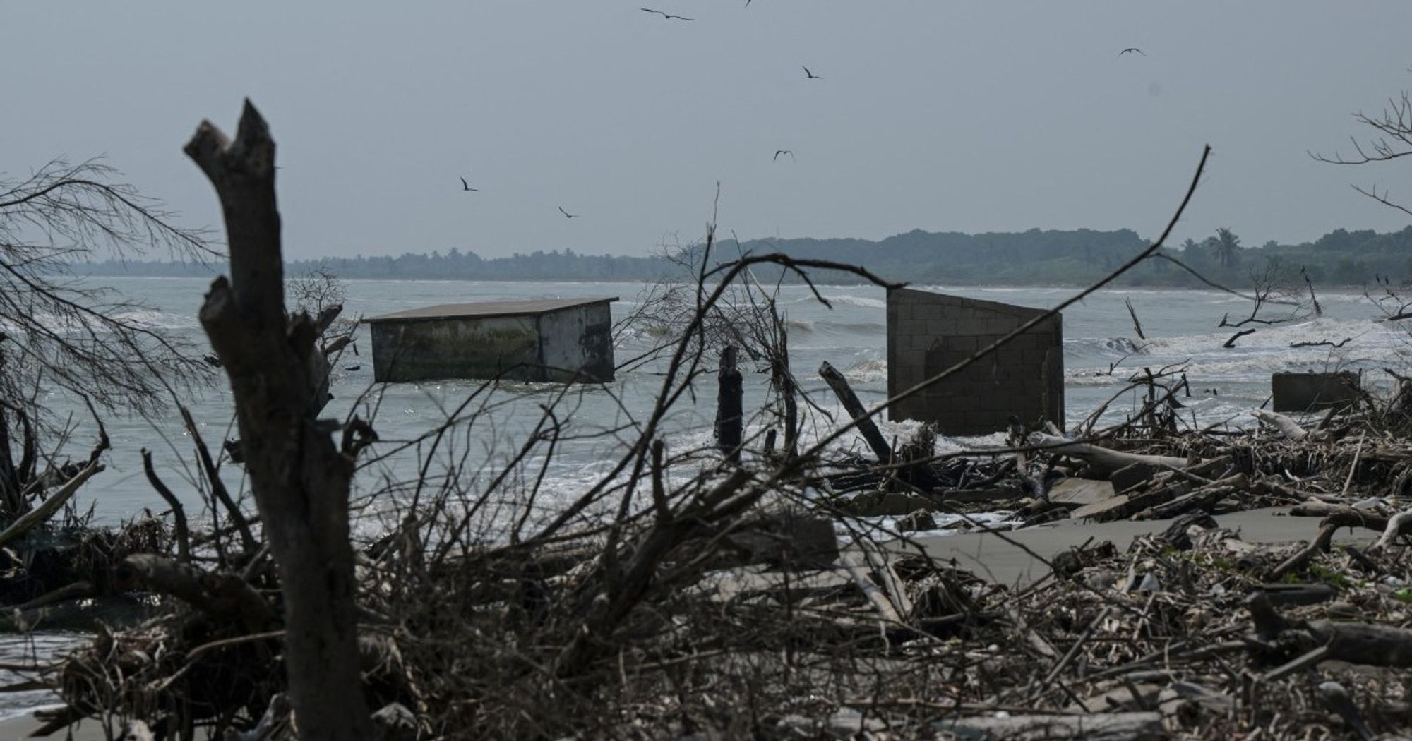 Coastal communities face 'catastrophic flooding' from rising sea levels