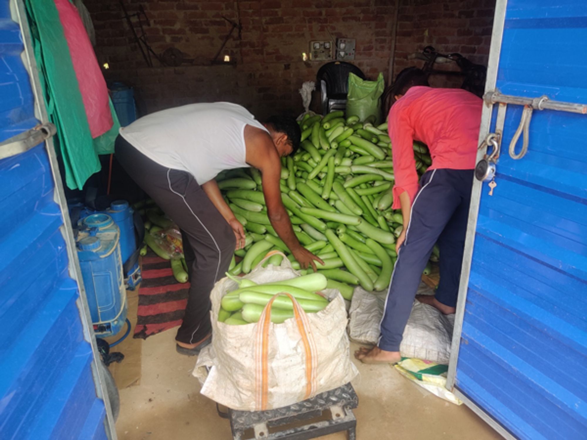 A Jharkhand farmer uses AI and technology to modernise farming