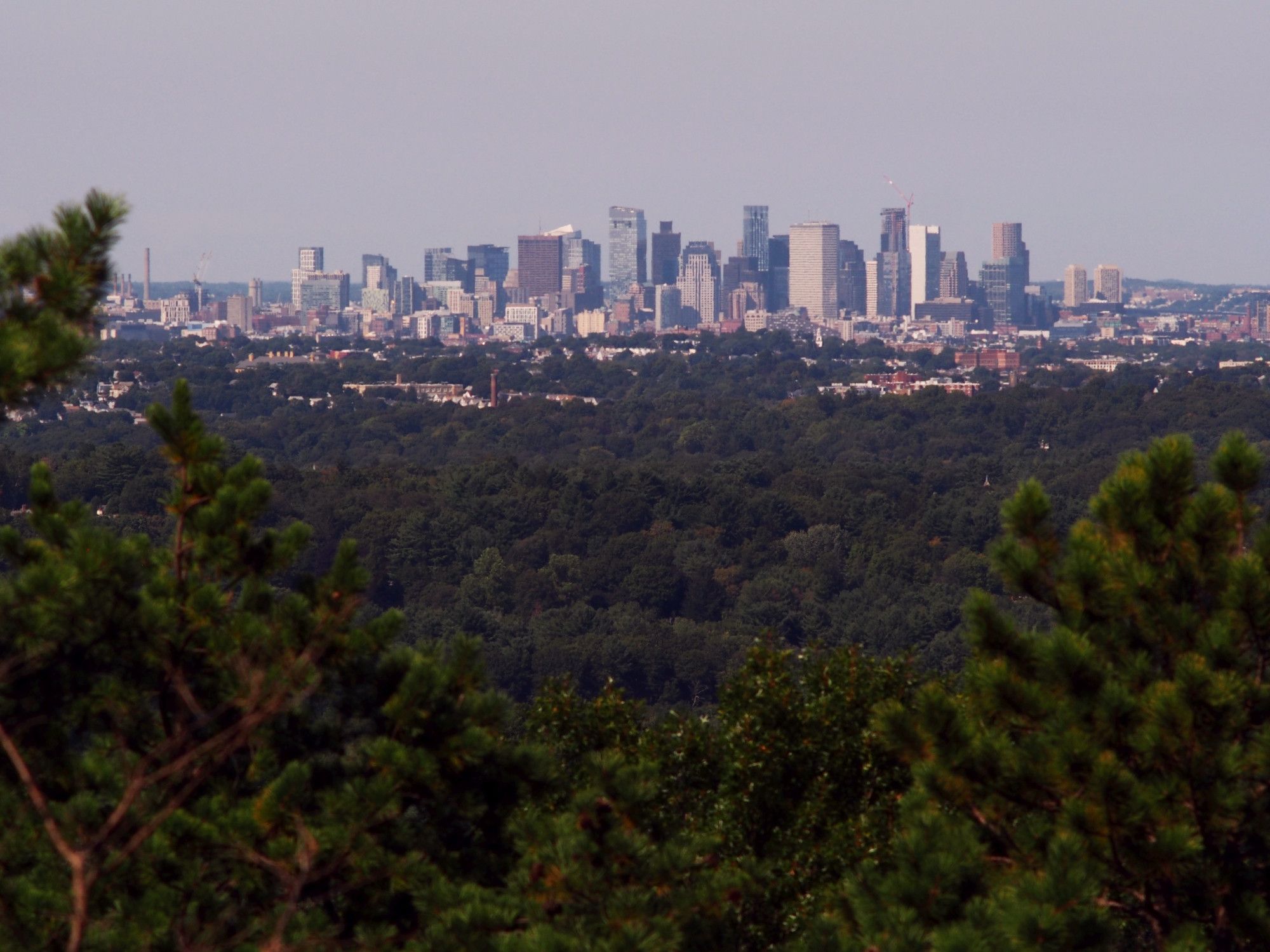 The skyscrapers of downtown Boston MA, photographed from Buck Hill.

Was out for an afternoon stroll today and brought along my 135mm lens which has a much wider view than the 500mm that was used for most of my posts here. This is closer to what one would see with their naked eye. It has been interesting to do all of the tight crops with the big lens and identify all of these buildings, but sometimes we need to step back and simply enjoy the view!

#buckhill #bluehills #bluehillsreservation #Boston #BostonMA #Dorchester #DorchesterMA #landscape #LandscapePhotography #photography #LongDistanceObservations