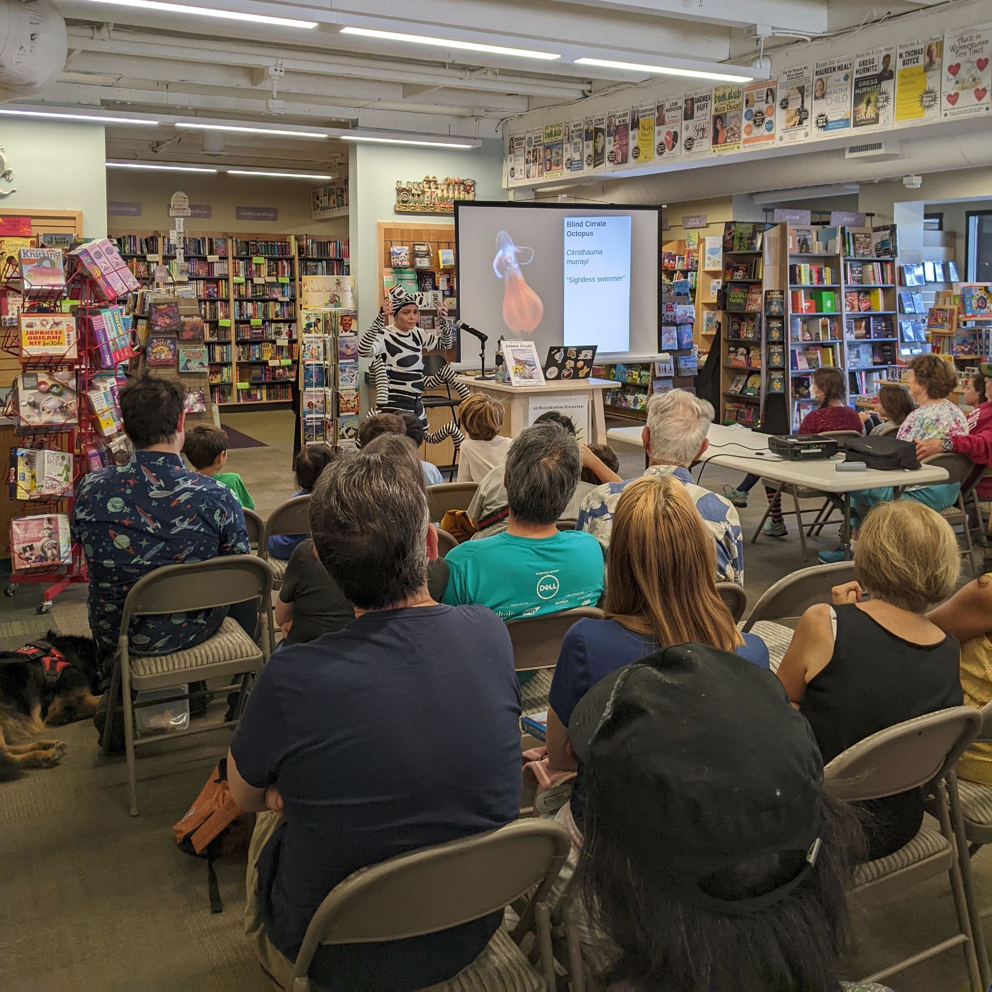 A shot from the back of the audience during Danna's talk at a bookstore. Children's heads are visible in the front row, and heads of adults, some gray, are visible further back. Danna is gesturing in her mimic octopus costume, and on the projector screen is a photograph of Cirrothauma murrayi, the blind cirrate octopus, a dramatic shot against a black background.