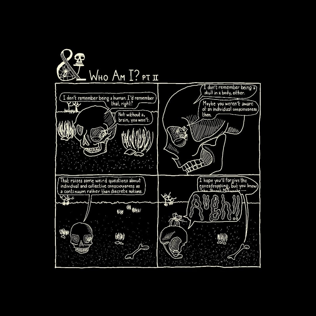 Frame 1: Skull hopping through the desert with Spider curled up in their eye socket.

Skull: I don't remember being a human. I'd remember that, right?
Spider: Not without a brain you won't.


Frame 2: close-up shot of Skull from the side, Spider still in their eye socket

Skull: I don't remember being a Skull in a body, either.
Spider: Maybe you weren't aware of an individual consciousness then.


Frame 3: Skull and Spider hopping through the desert. Among the brush and rocks, there is a lone femur bone.

Skull: That raises some weird questions about individual and collective consciousness as a continuum rather than discrete notions.


Frame 4: Spider and Skull recoiling in terror from Femur. Spider has leapt on top of Skull into a martial arts stance.

Femur: I hope you'll forgive the eavesdropping, but you know John Stuart Mill wrote--
Spider & Skull: AUGH!!!