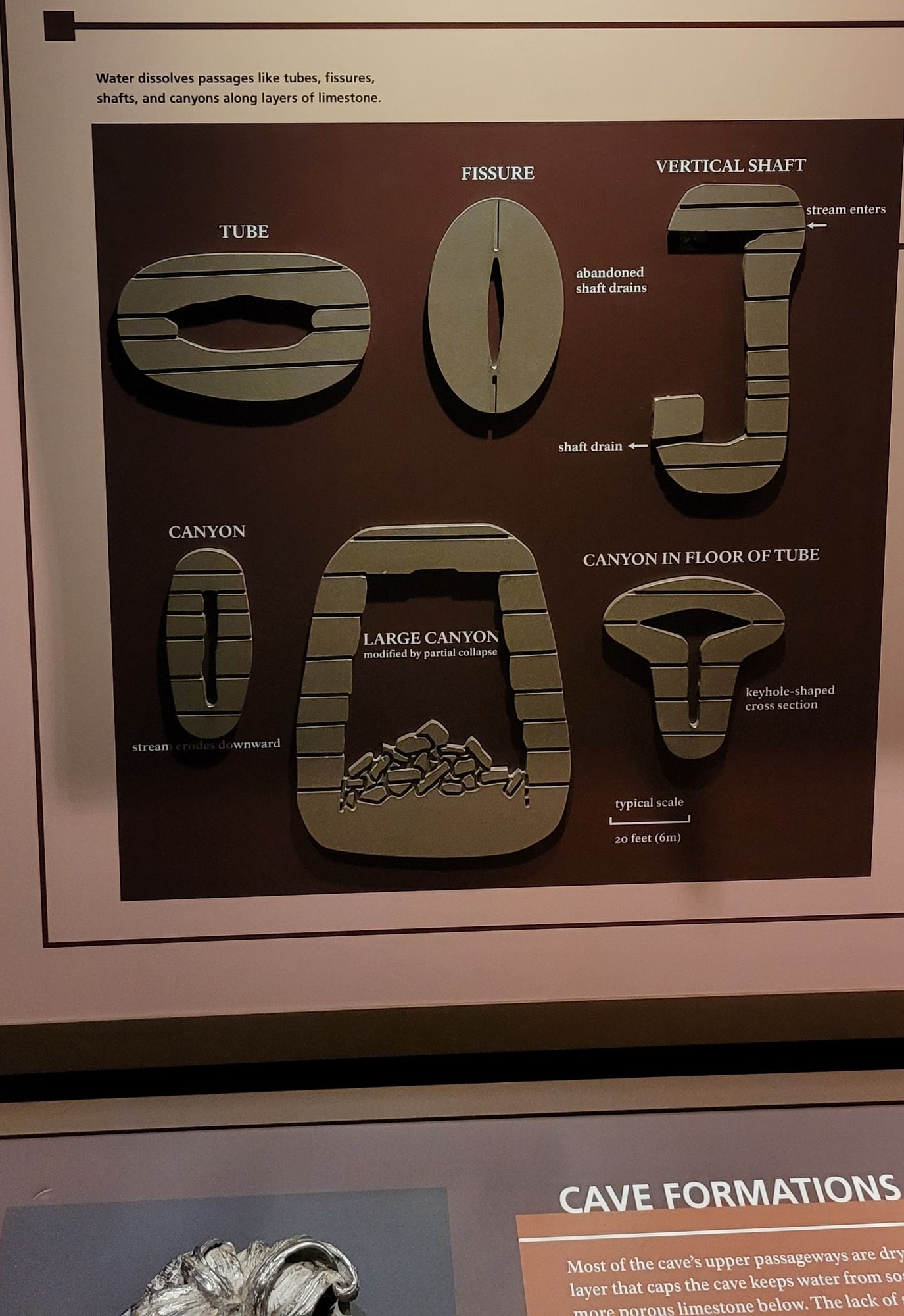 A museum exhibit that shows the various types of cave openings that humorously look like vaginas