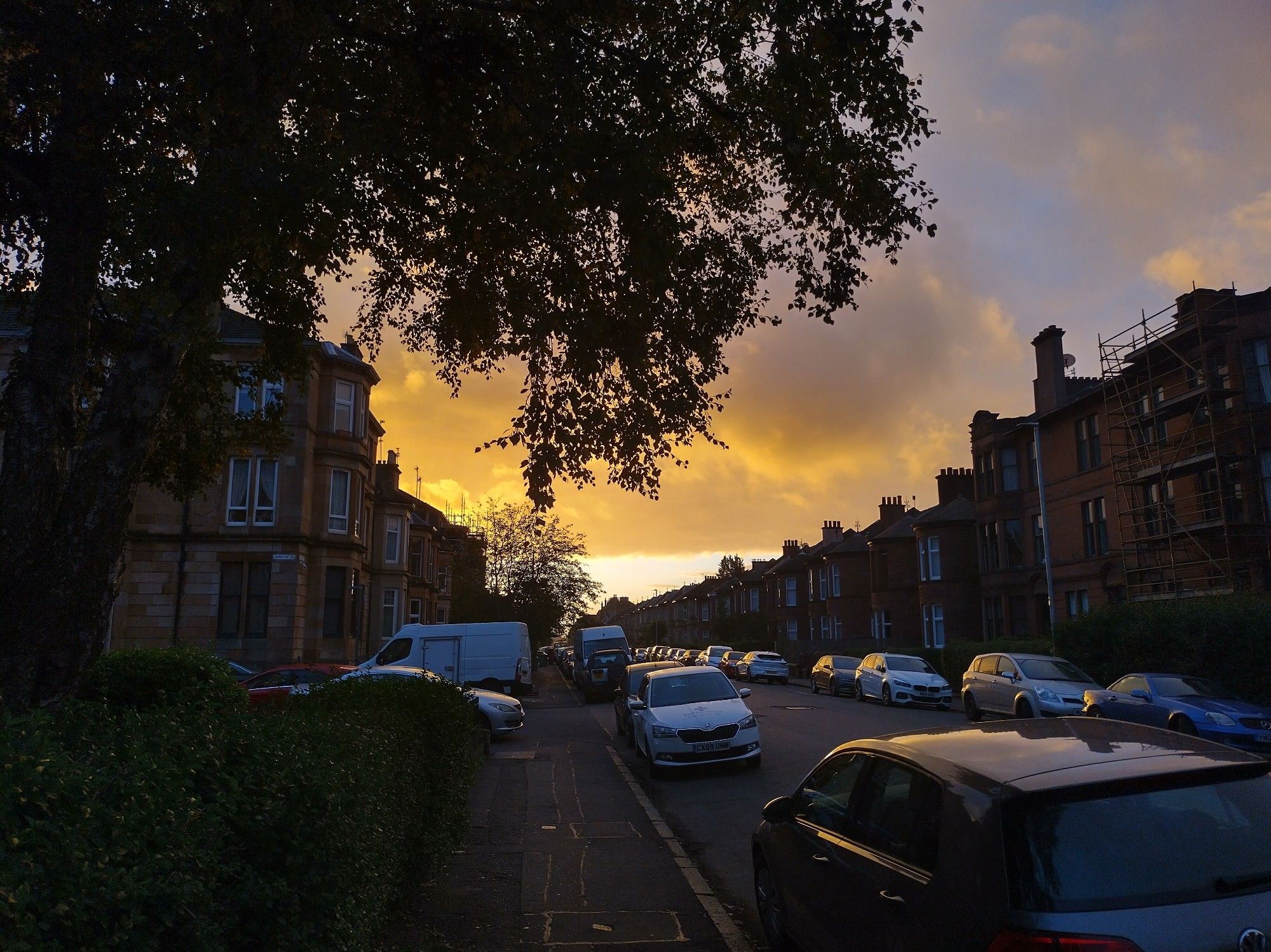 Sunrise in Govanhill looking down the street, tenements on either side and lined with cars, a tree hangs down in the foreground on the left hand side