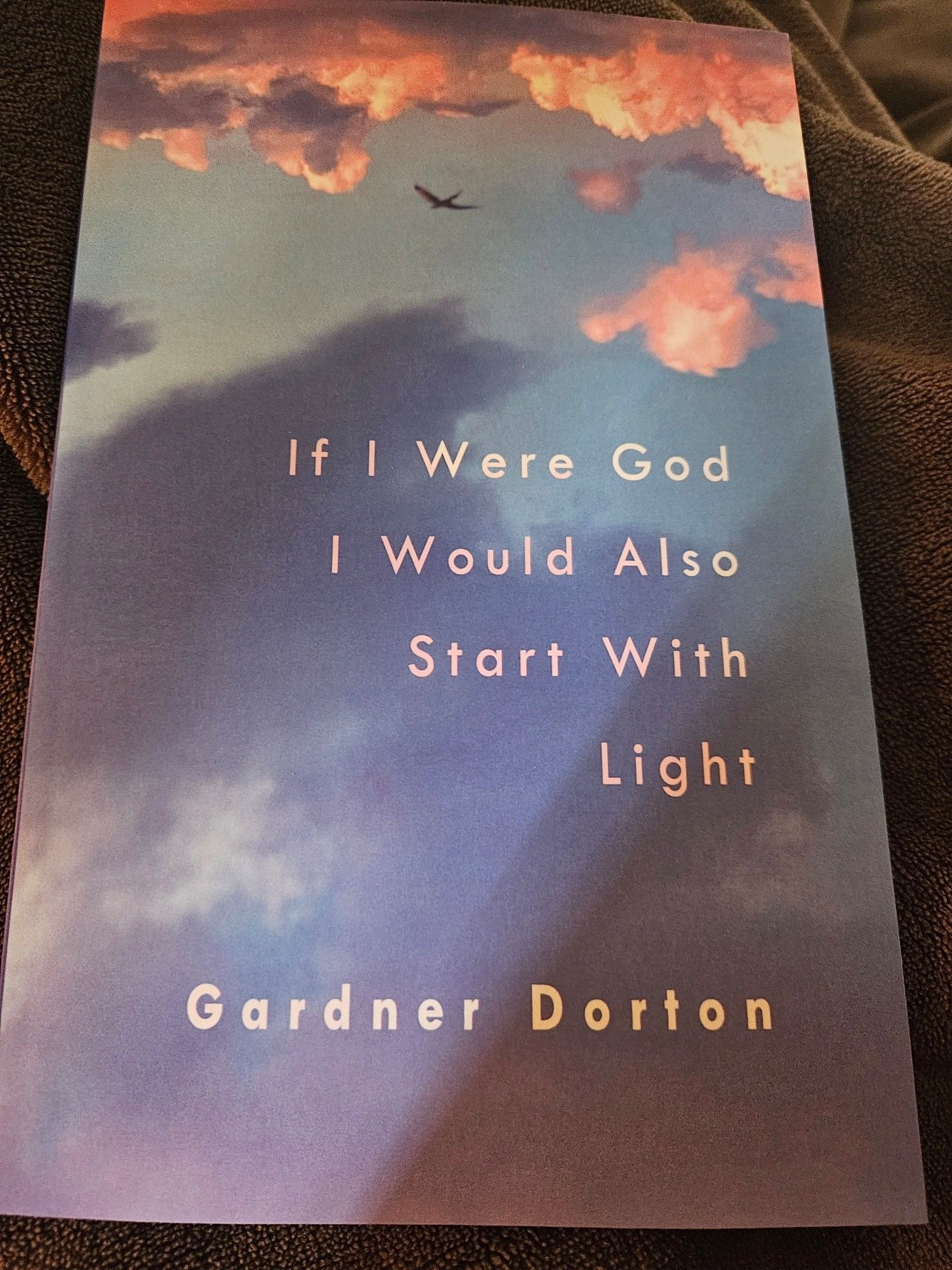 Cover of If I Were God I Would Also Start With Light by Gardner Dorton (Thirty West Press)

Image: An iridescent sky, likely at dawn, with a bird in the distance