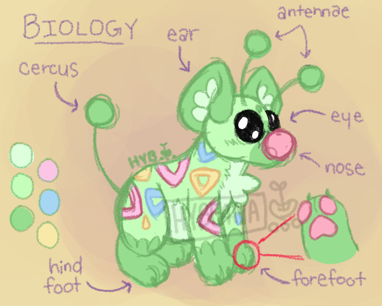 A drawing of my character Xenarthron titled "biology" in all caps. Xenarthron is a quadruped alien creature. It appears similar to a spotted hyena, but it is pastel green with pink, yellow, and baby blue triangular spots. It has two antennae on its head and a singular antenna as a tail. There is text labeling each body part, as if it were an anatomical textbook, reading, "ear, antennae, eye, nose, forefoot, hind foot, and cercus." There is also a drawing depicting what the bottom of Xenarthron's paw looks like, featuring one large center paw pad and two smaller toe pads. The signature reads "hyb" in all caps.