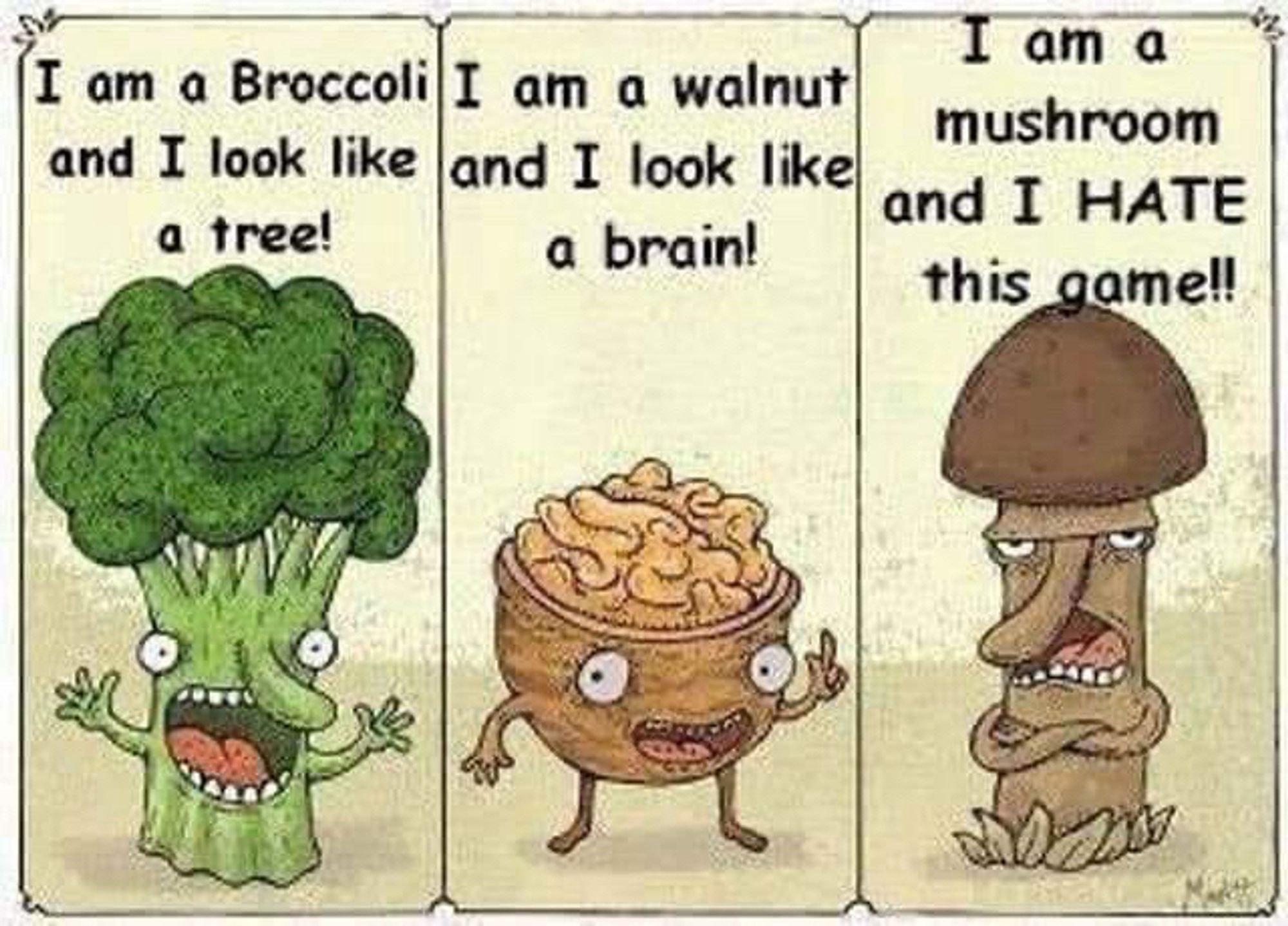 I am a Broccoli I am a walnut and I look like
and I look like
a tree!
a brain!
I am a
mushroom and I HATE this game!!