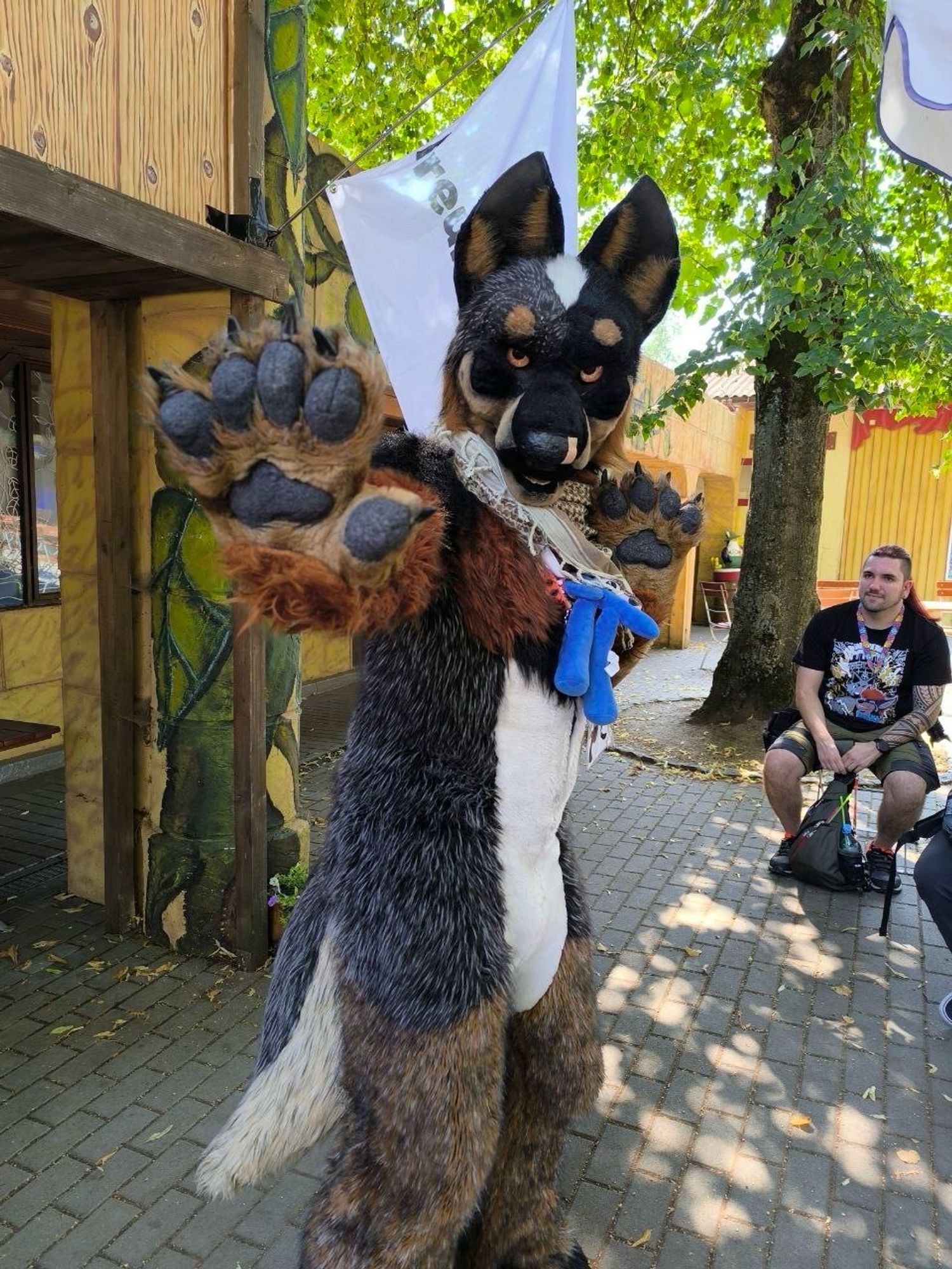 Blue Heeler fursuiter doing „kung fu“ pose.