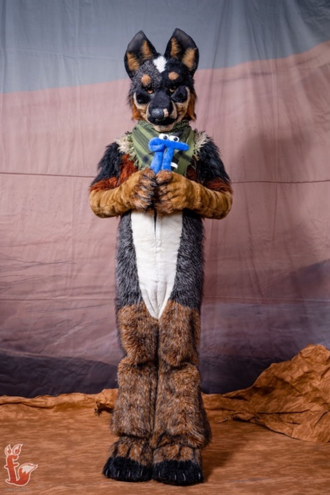 Blue Heeler fursuiter posing with blue Pi plushie