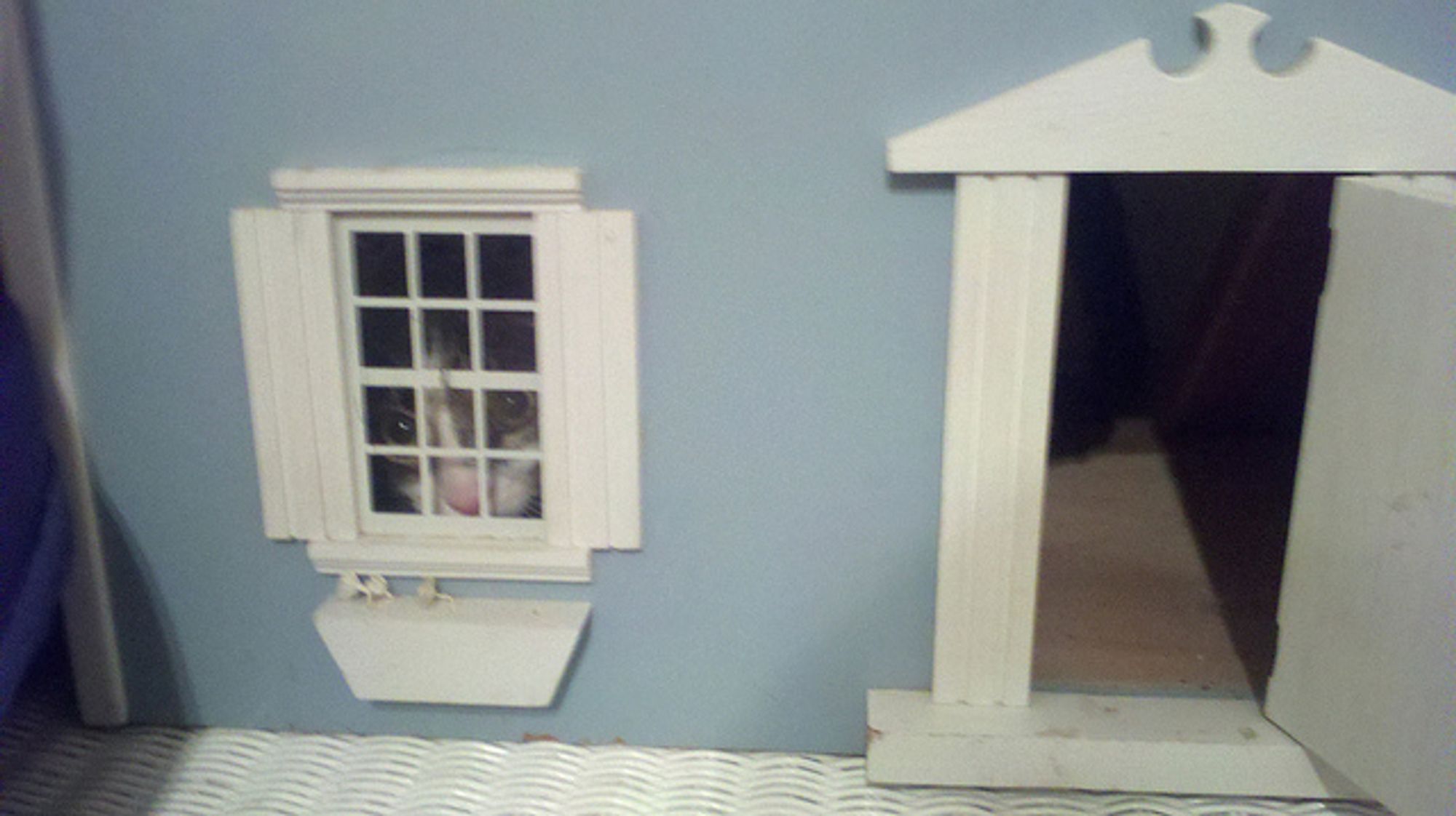 Photo of a tiny black and white cat face peeking out the window of an old blue dollhouse.