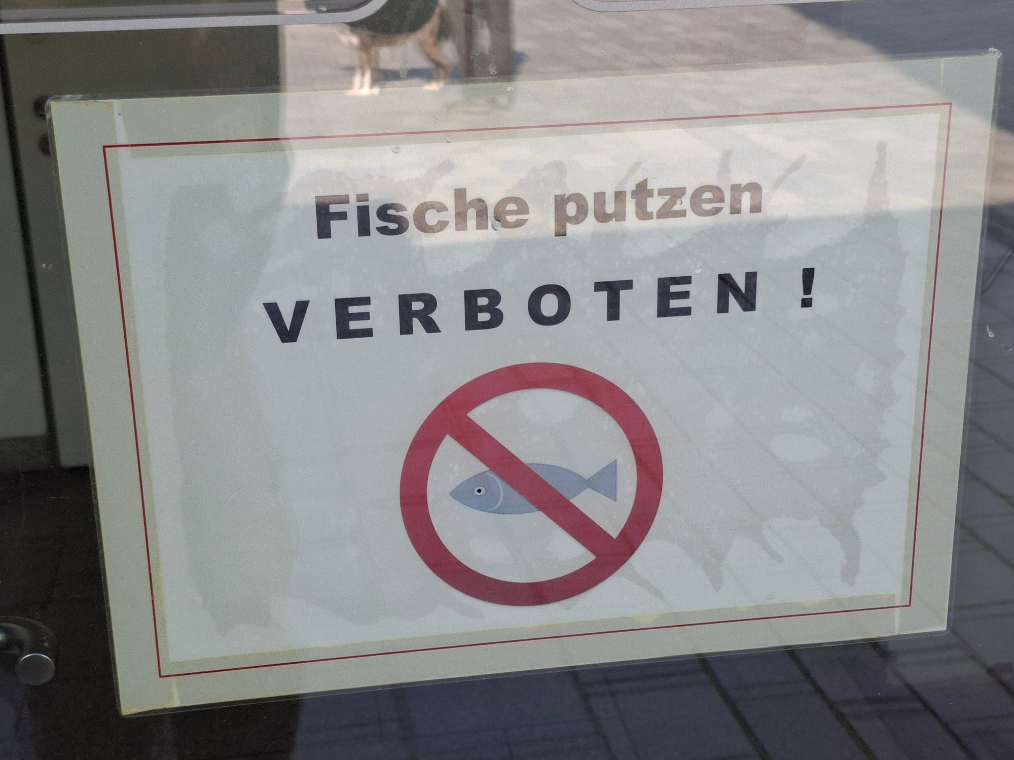 ein schild auf dem steht: fische putzen verboten!