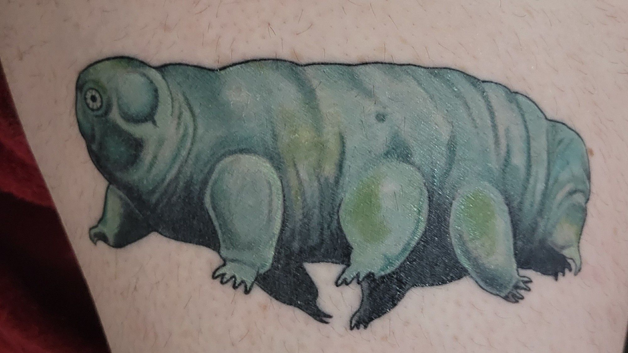 A blue and green tardigrade with little round mouth parts, tattooed on a white person.