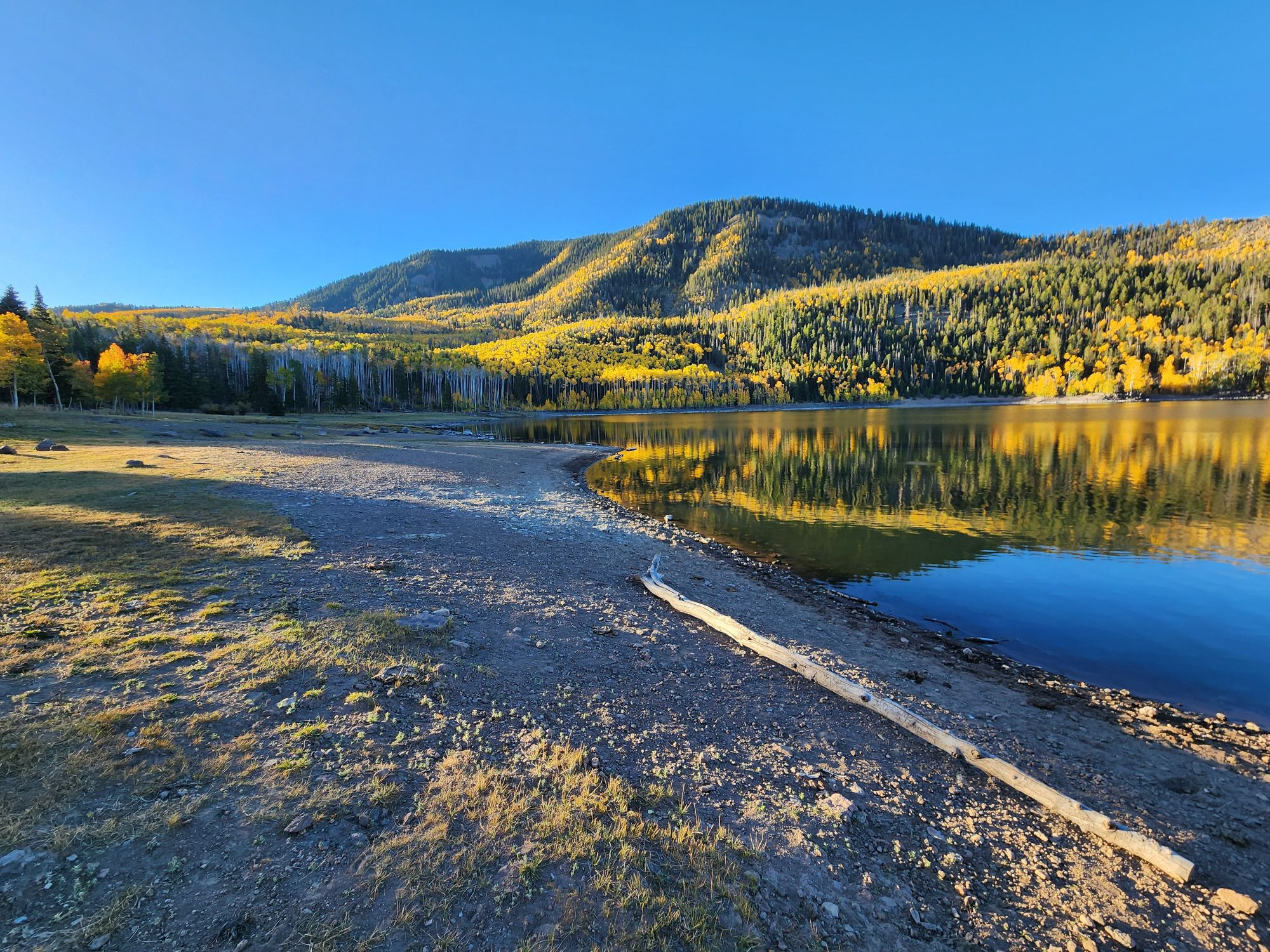 A picture of aspen covered mountains reflected in a lake