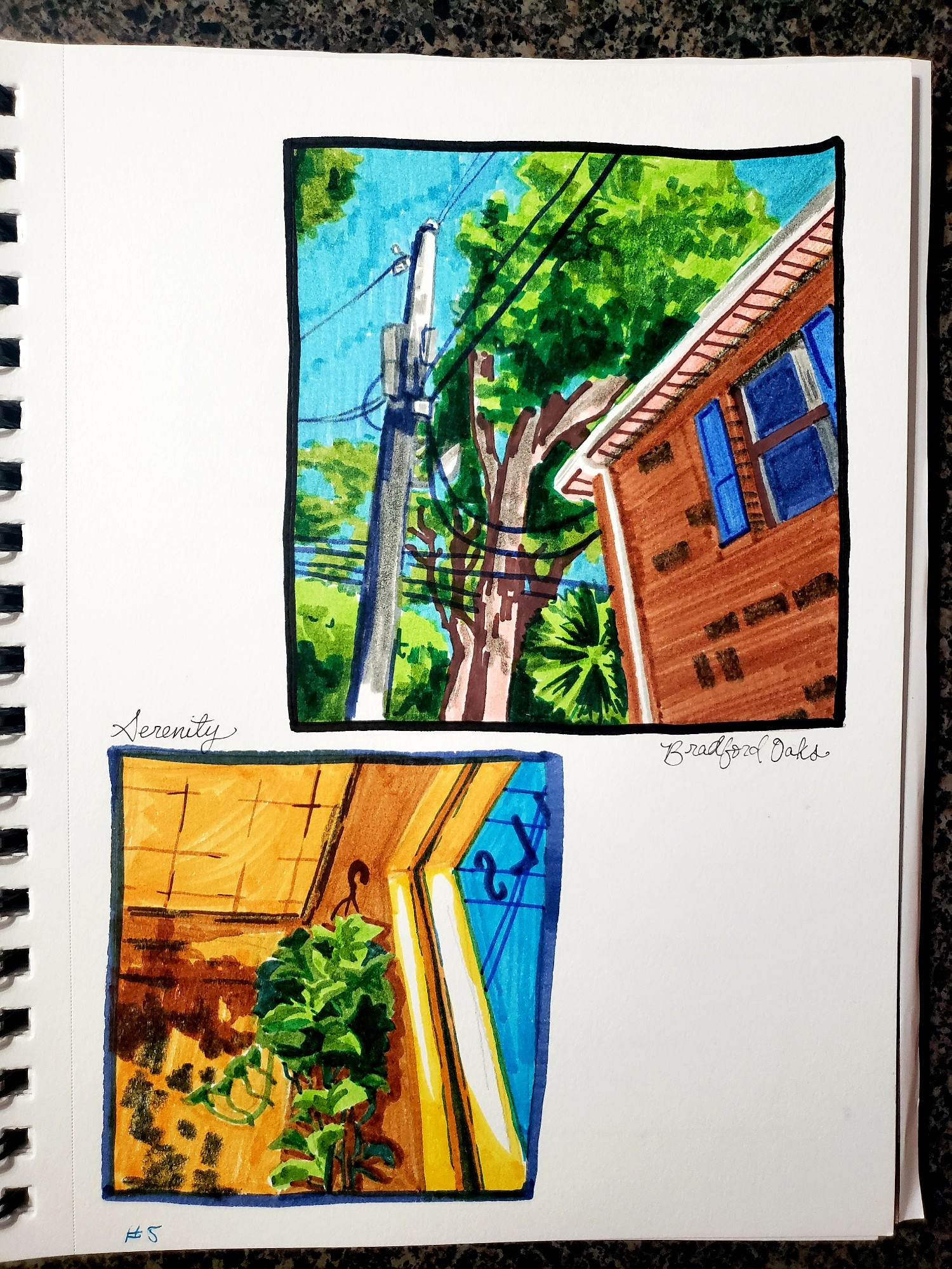 two marker drawings in a sketchbook. One square, labelled Bradford Oaks (an apartment complex), is of the corner of an apartment building by some trees and a lightpole. The other square is the corner of the interior of the now-shut down Serenity cafe in Tallahassee 