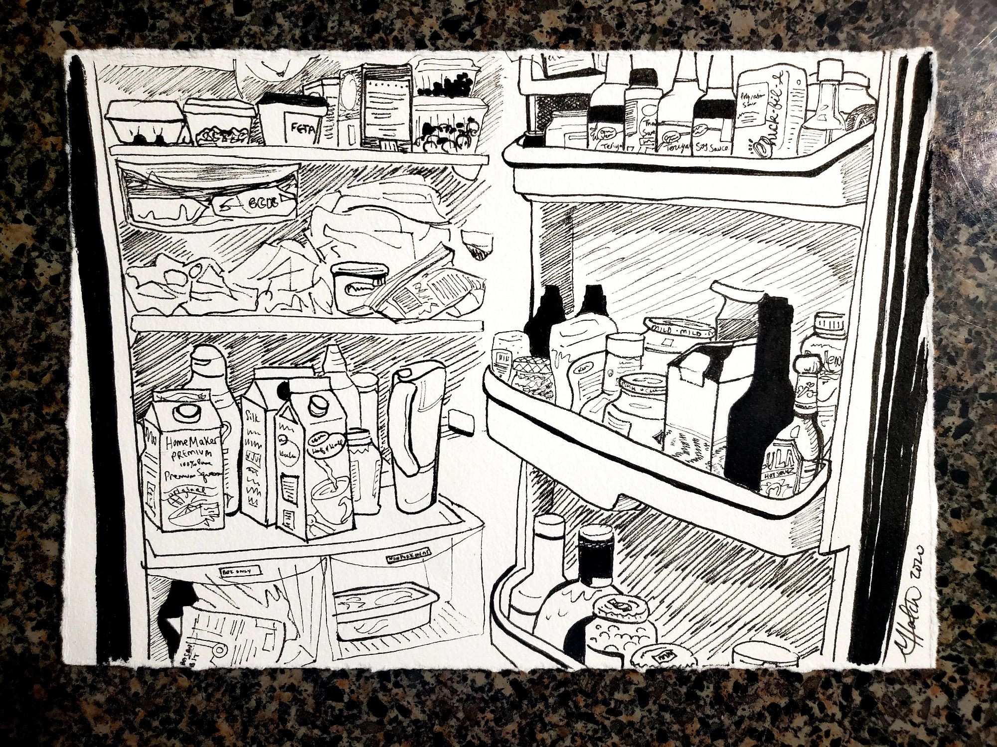 black ink drawing of the interior of a fridge