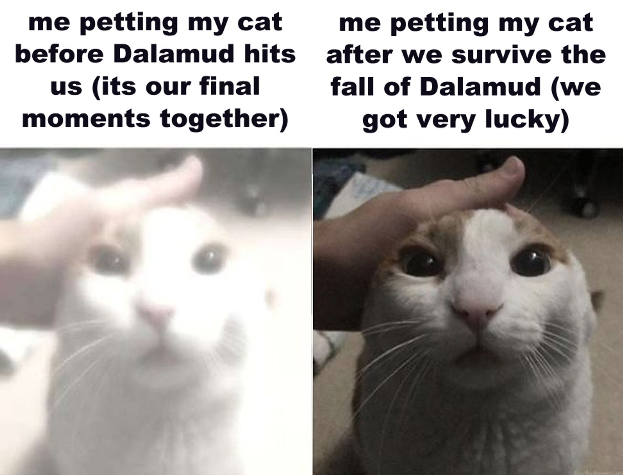 A meme picture using a template of a person petting their cat. The picture to the left is brighter then the one to the right.
To the left, the caption says "me petting my cat before Dalamud hits us (its our final moments together)"
To tge right, the caption says "me petting my cat after we survive the fall of Dalamud (we got very lucky)"