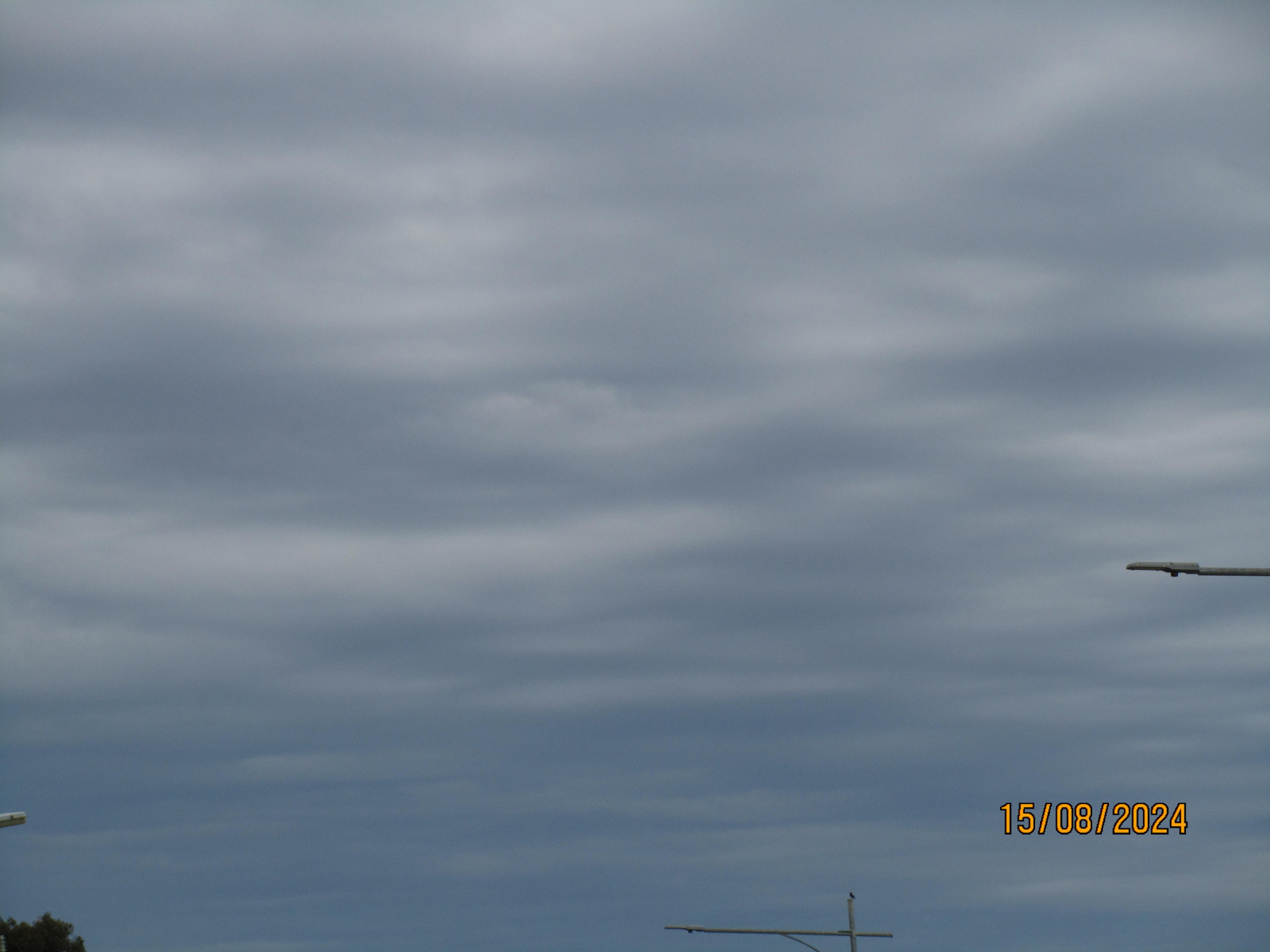 Clouds. Date indicator reads "15/08/2024"