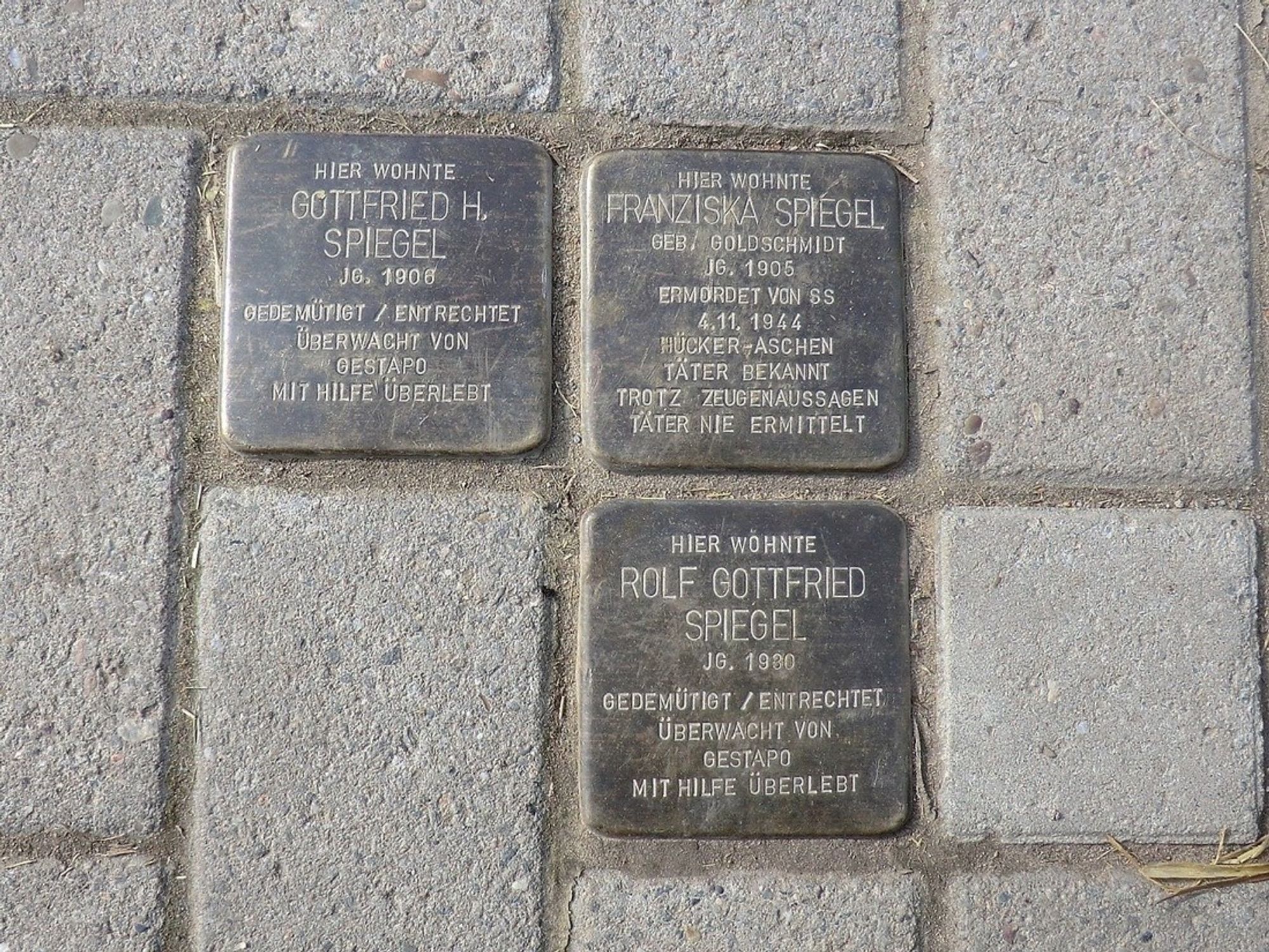 Stolpersteine für Franziska, Gottfried und Rolf Gottfried Spiegel