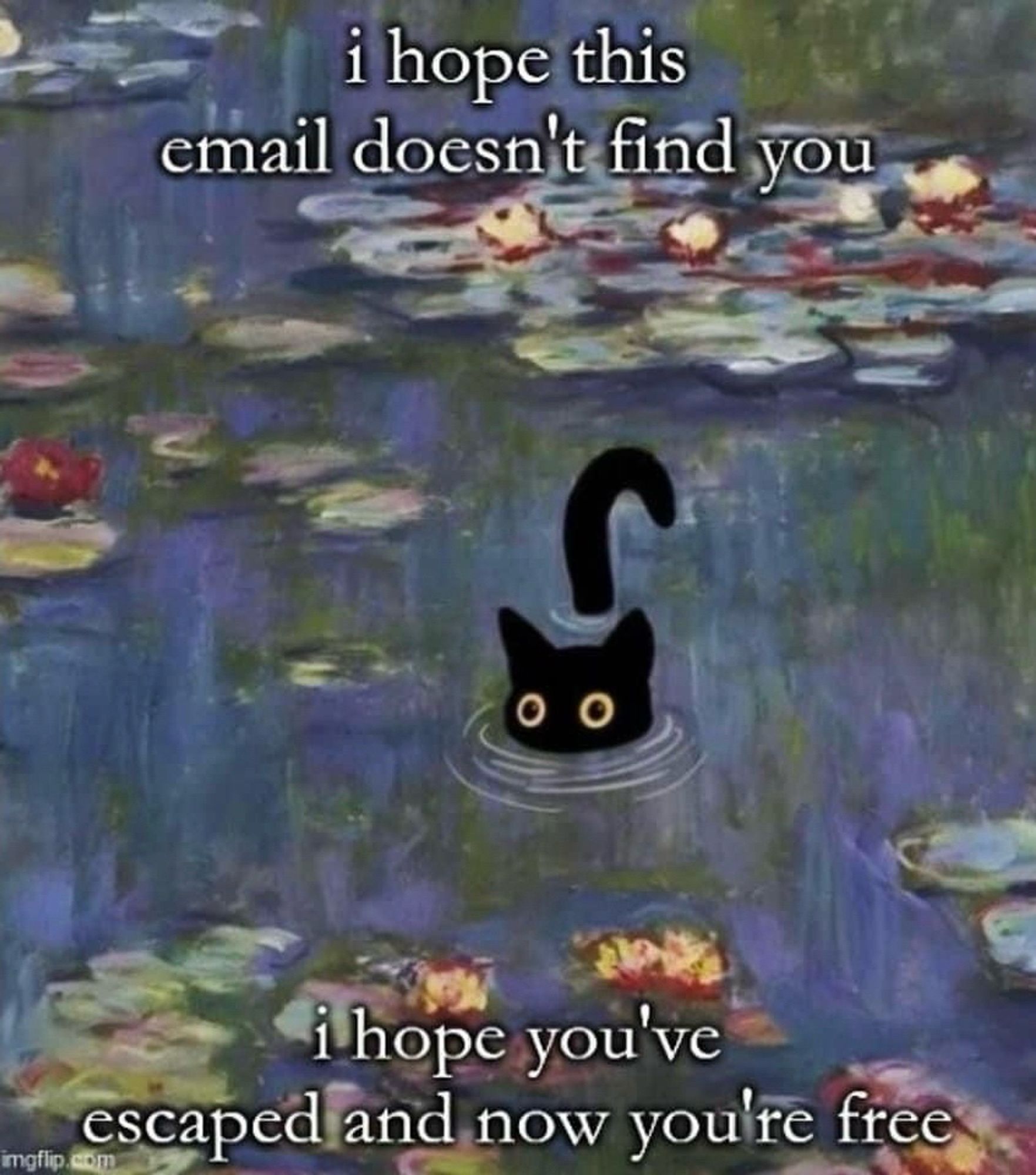 A black cat sitting mostly submerged in a pond, surrounded by foliage and flowers. Only his eyes, ears and tail are visible. Around it says: I hope this email doesn’t find you. I hope you’ve escaped and now you’re free.