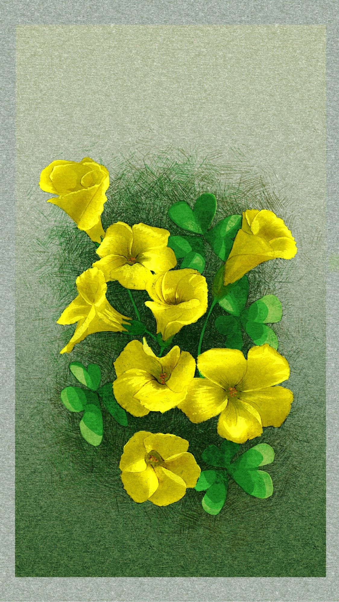 Illustrated phone wallpaper of A yellow Buttercup flowers surrounded by green leaves, set against a textured, soft gray background.