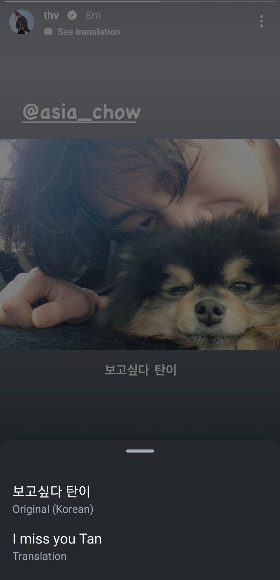 V of BTS with his dog Yeontan.